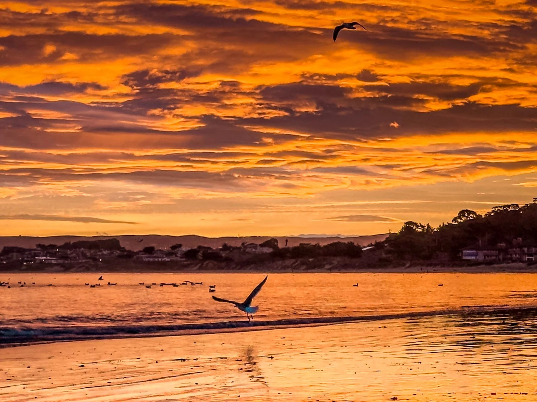 One of those unreal mornings on Del Monte Beach in Monterey. The light kept shifting every second,  revealing reflections and color. It was impossible to look away, so I took it all in&hellip;both with my eyes and my camera 📷🌄 #selinasphotovisions 