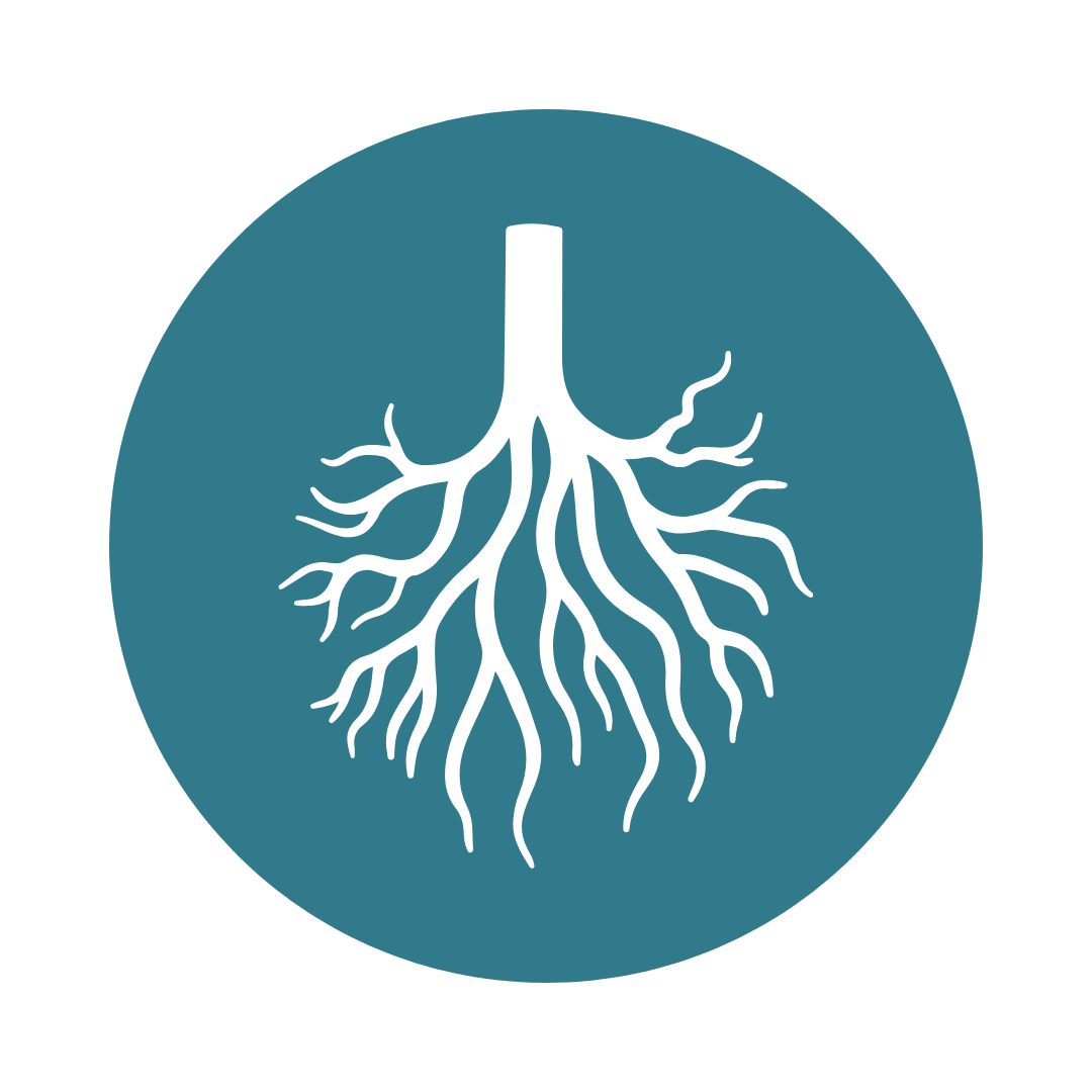 Icon of interconnected roots representing addressing the root causes of pain