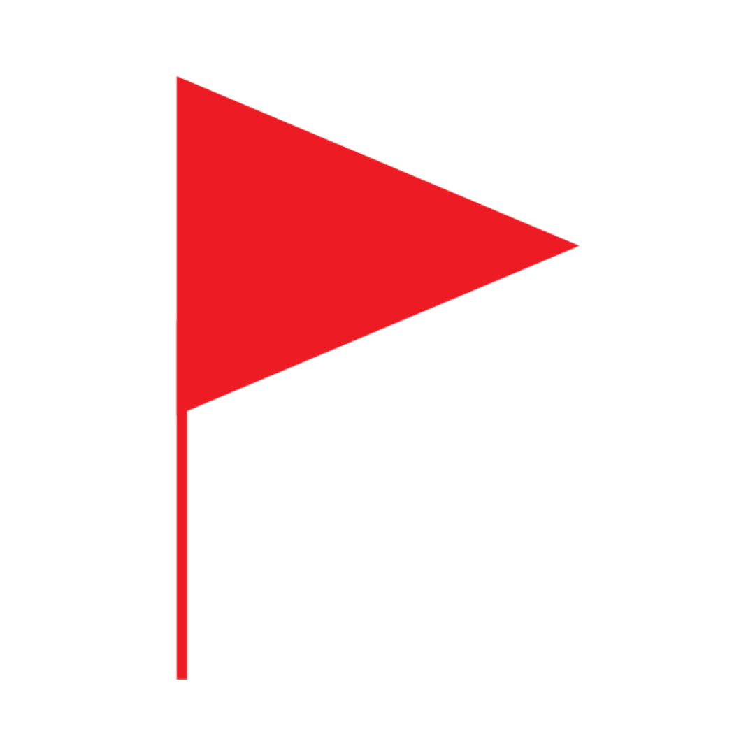 Red flag icon representing one-size-fits-all treatment claims