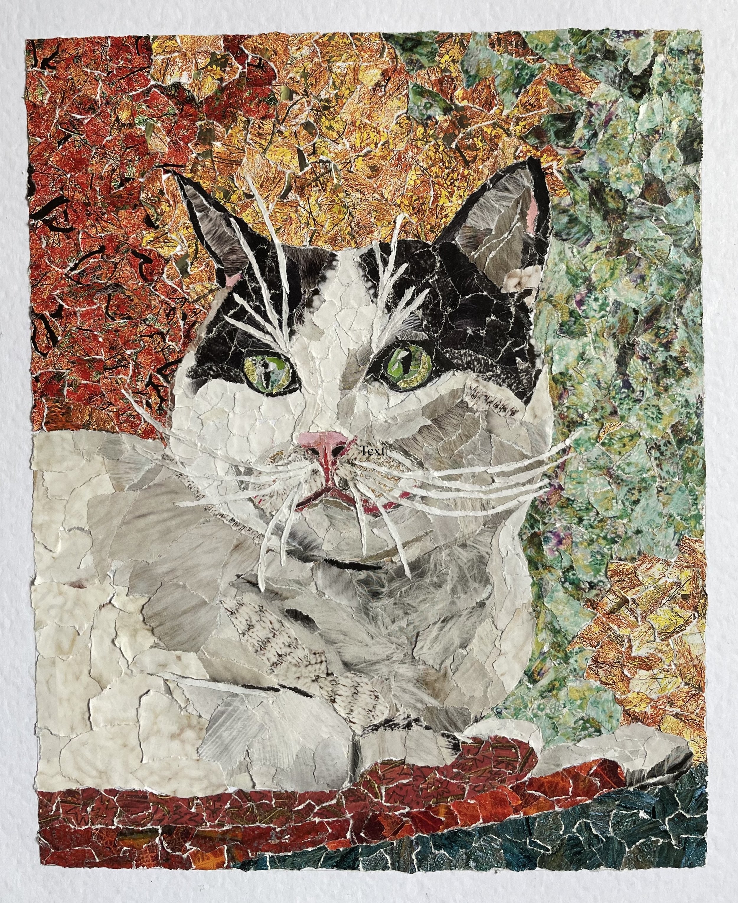 Howie
10" x 8.25"
December 2022
Magazine pieces on paper