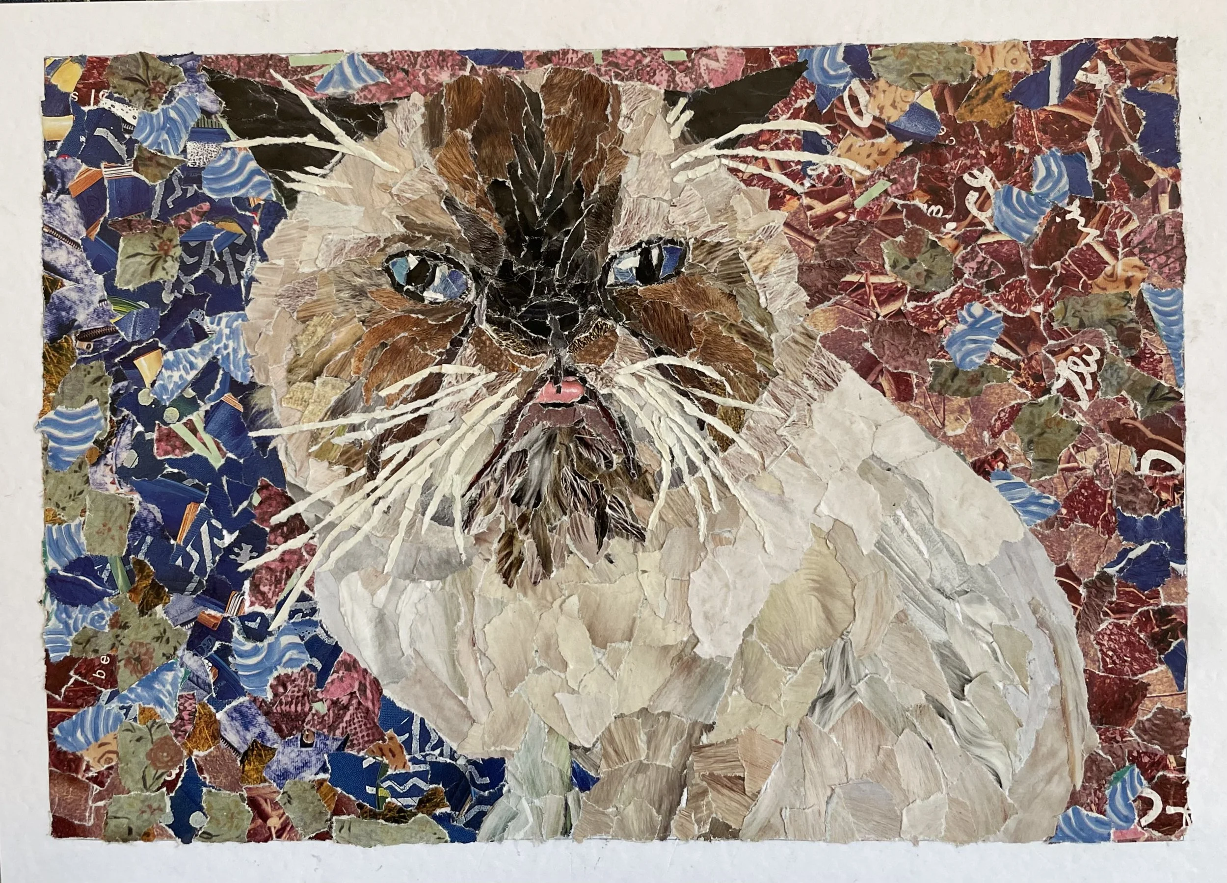 Tusan
8" x 11"
October 2025
Hand-torn magazine pieces on paper