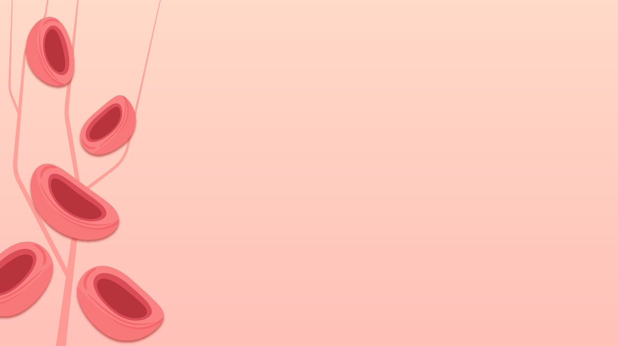 Circulatory 3.png