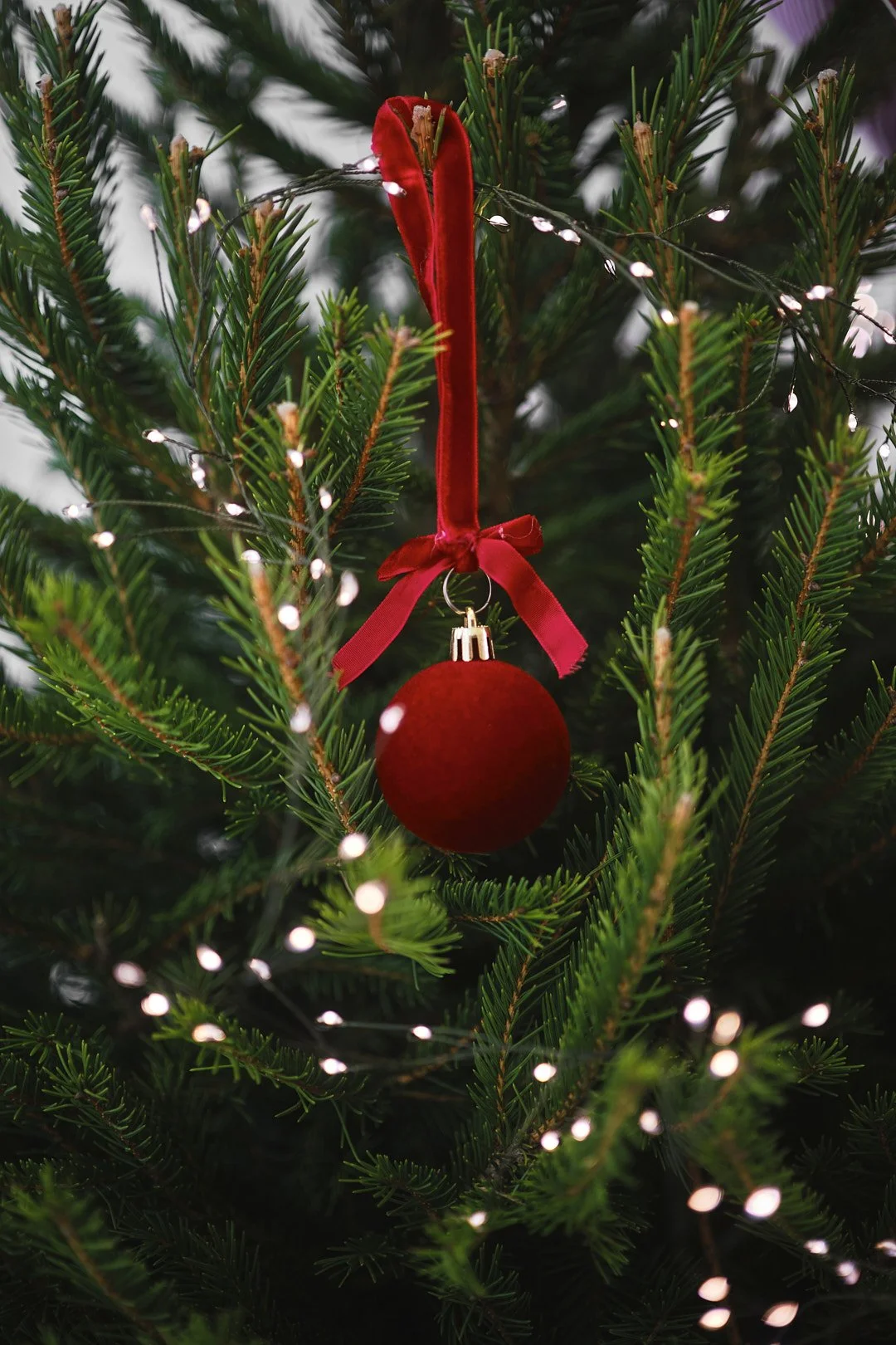 КОЛЕДНО СТУДИО ОПТИМИЗИРАНИ70.jpg