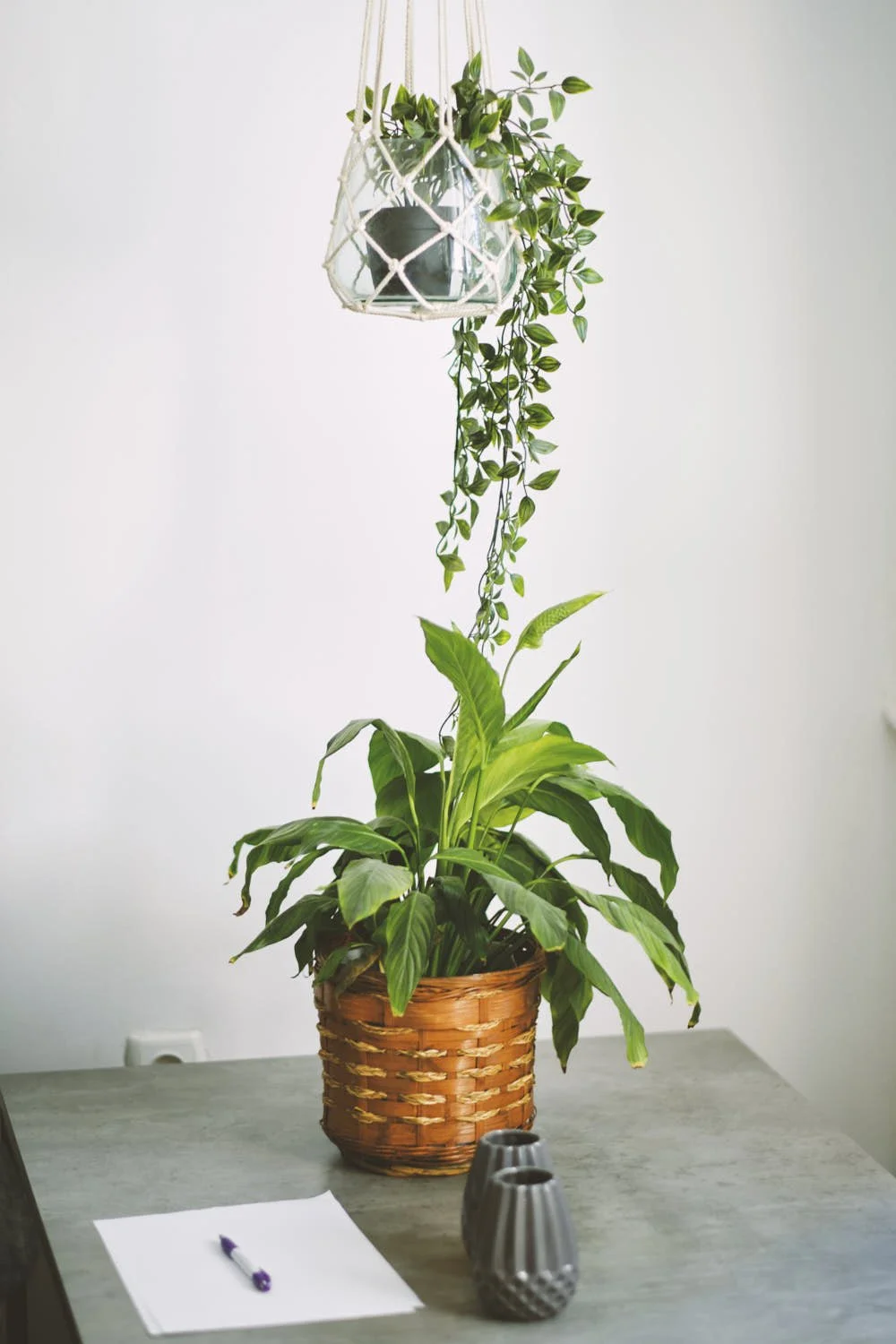  бранд predstawqne_5.jpg