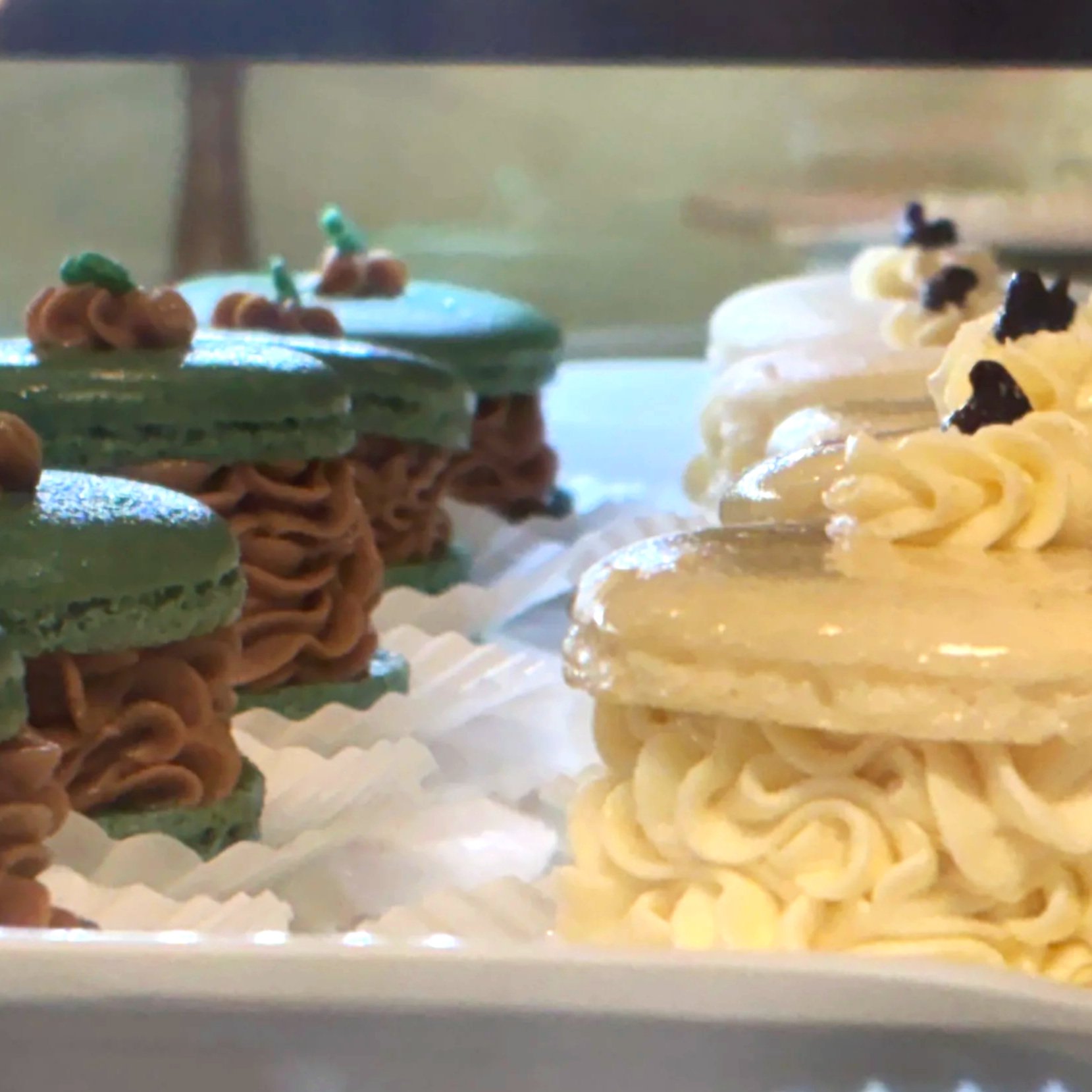 Close-up view of two rows of decorated macarons in a display case. 