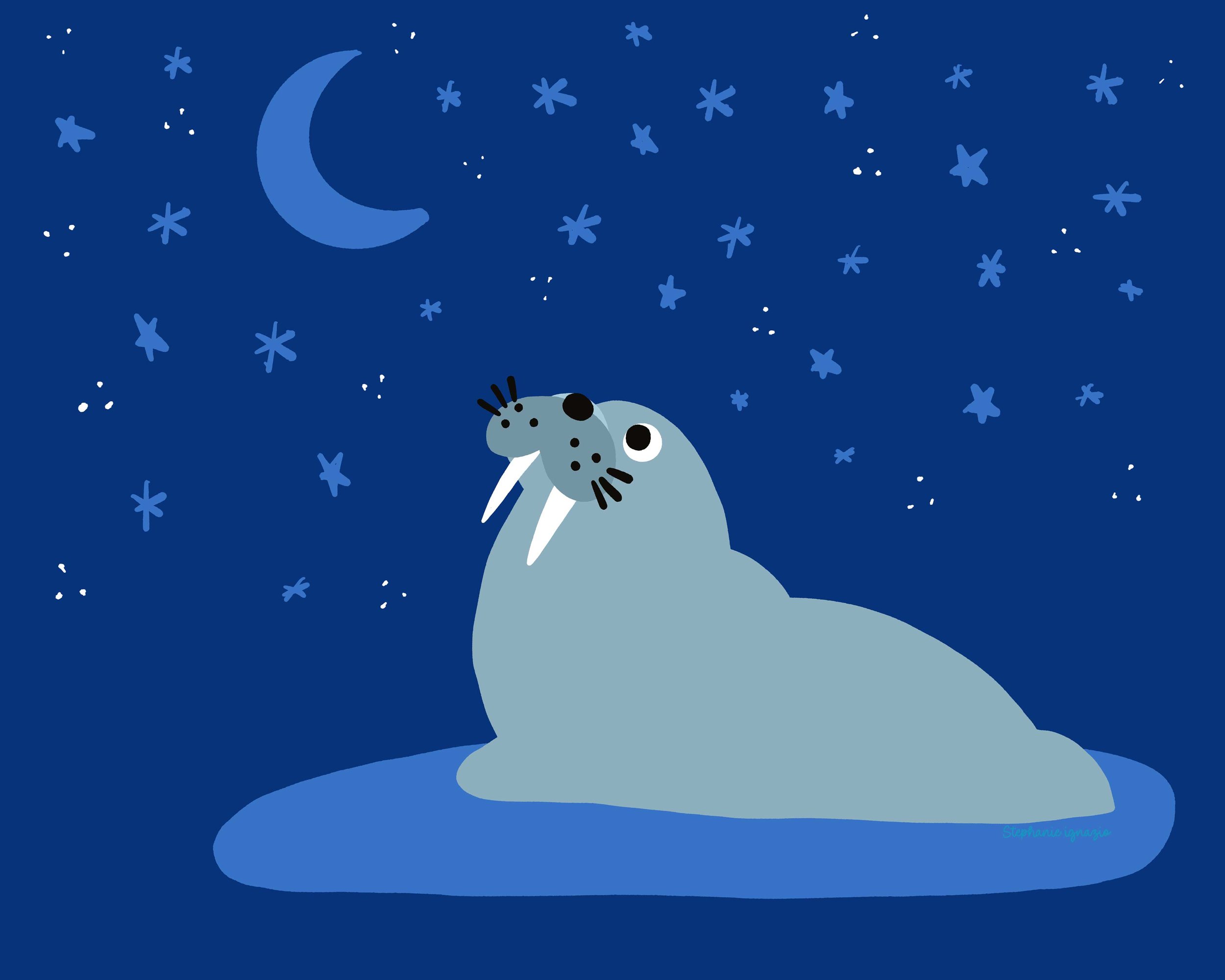 illustration of a smiling walrus looking at the moon on a deep blue background surrounded by stars