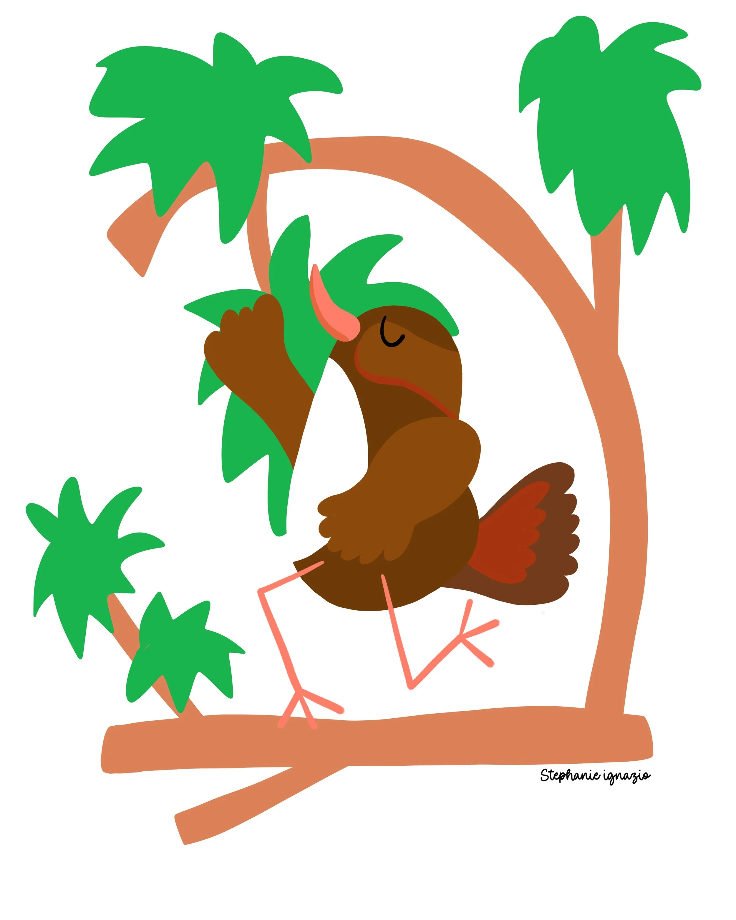 dancing xenop brown bird in the trees of xai xai
