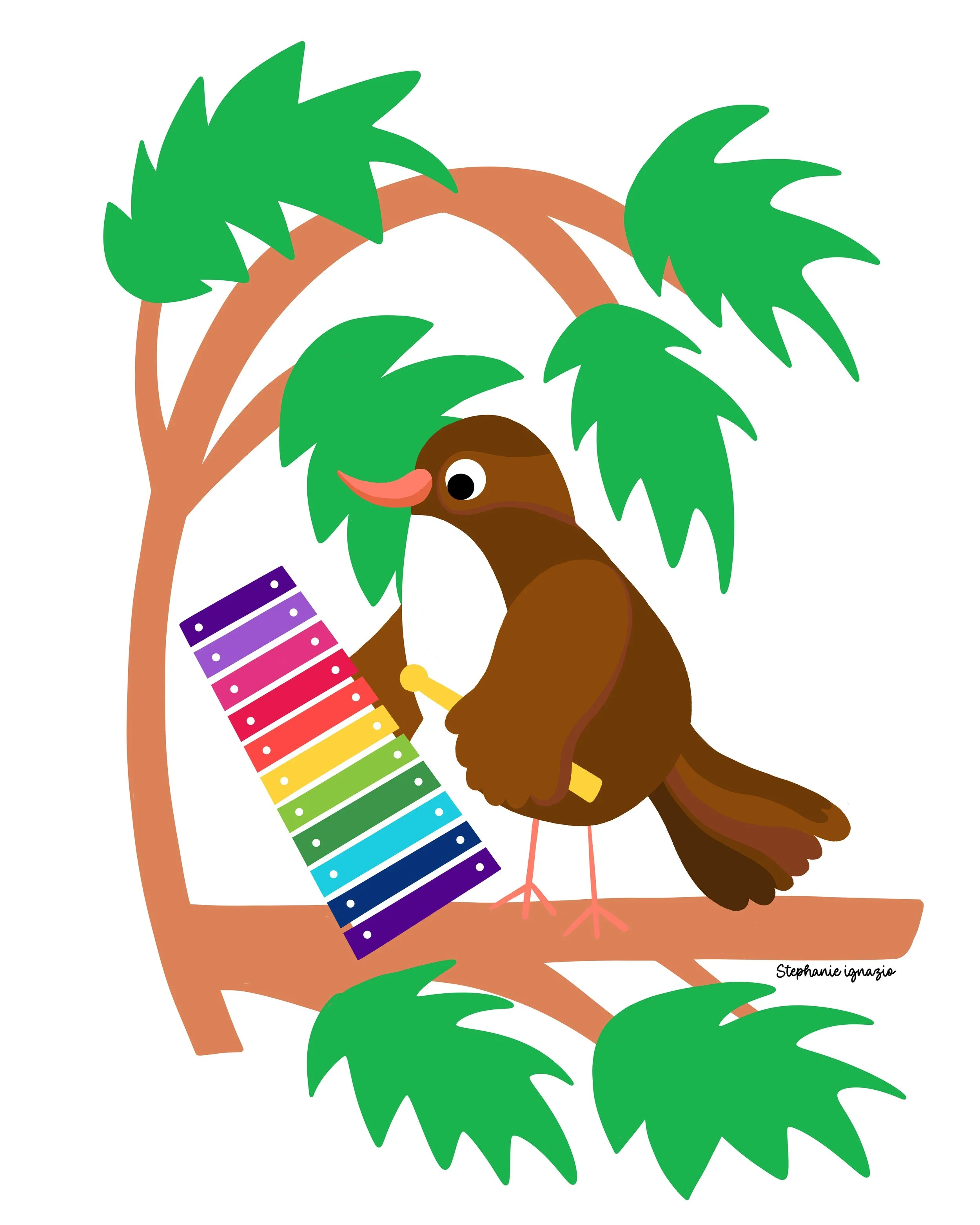 brown xerus bird playing a xylophone in the trees of xai xai
