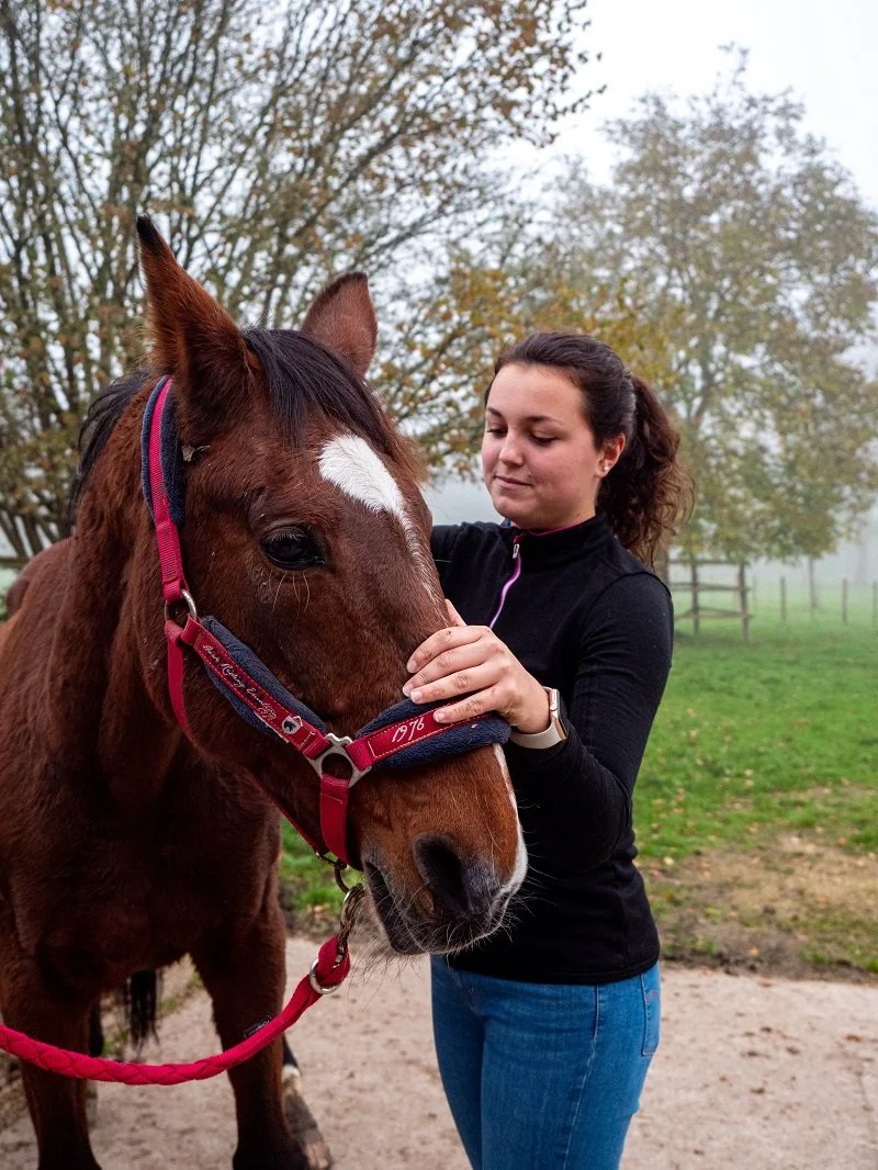 Une personne caresse un cheval marron portant un licol rouge dans un environnement extérieur verdoyant.