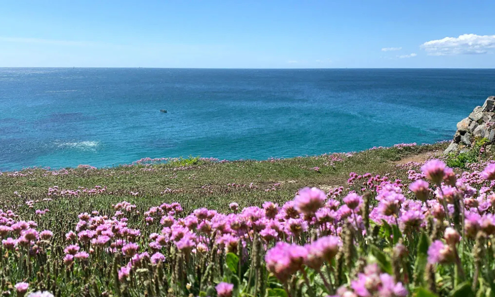the-lizard-point-peninsula-walks-in-cornwall-picnic-spots-scoop-of-cornwall-cornish-blog-bench.png