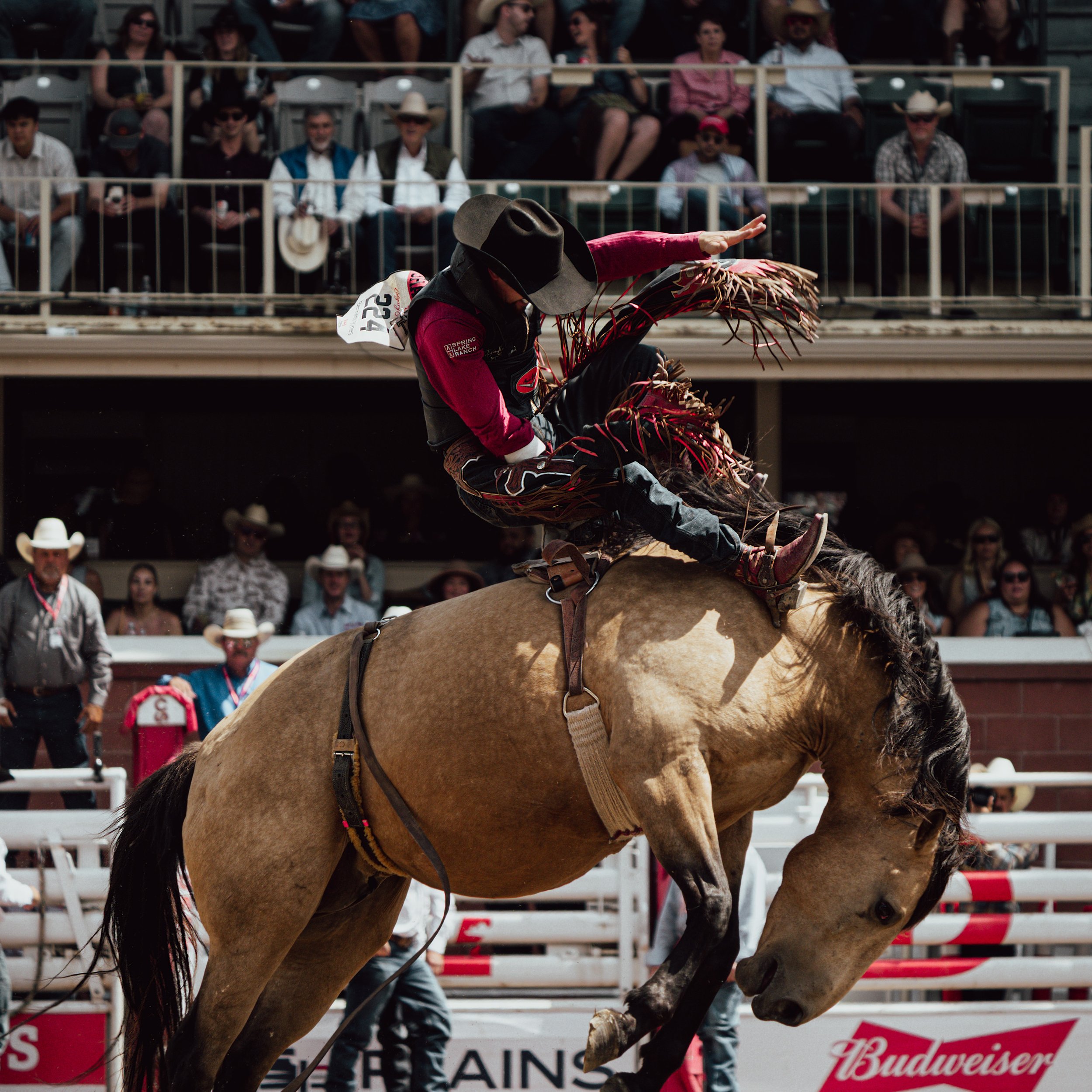 DSC02507-Edit.jpg