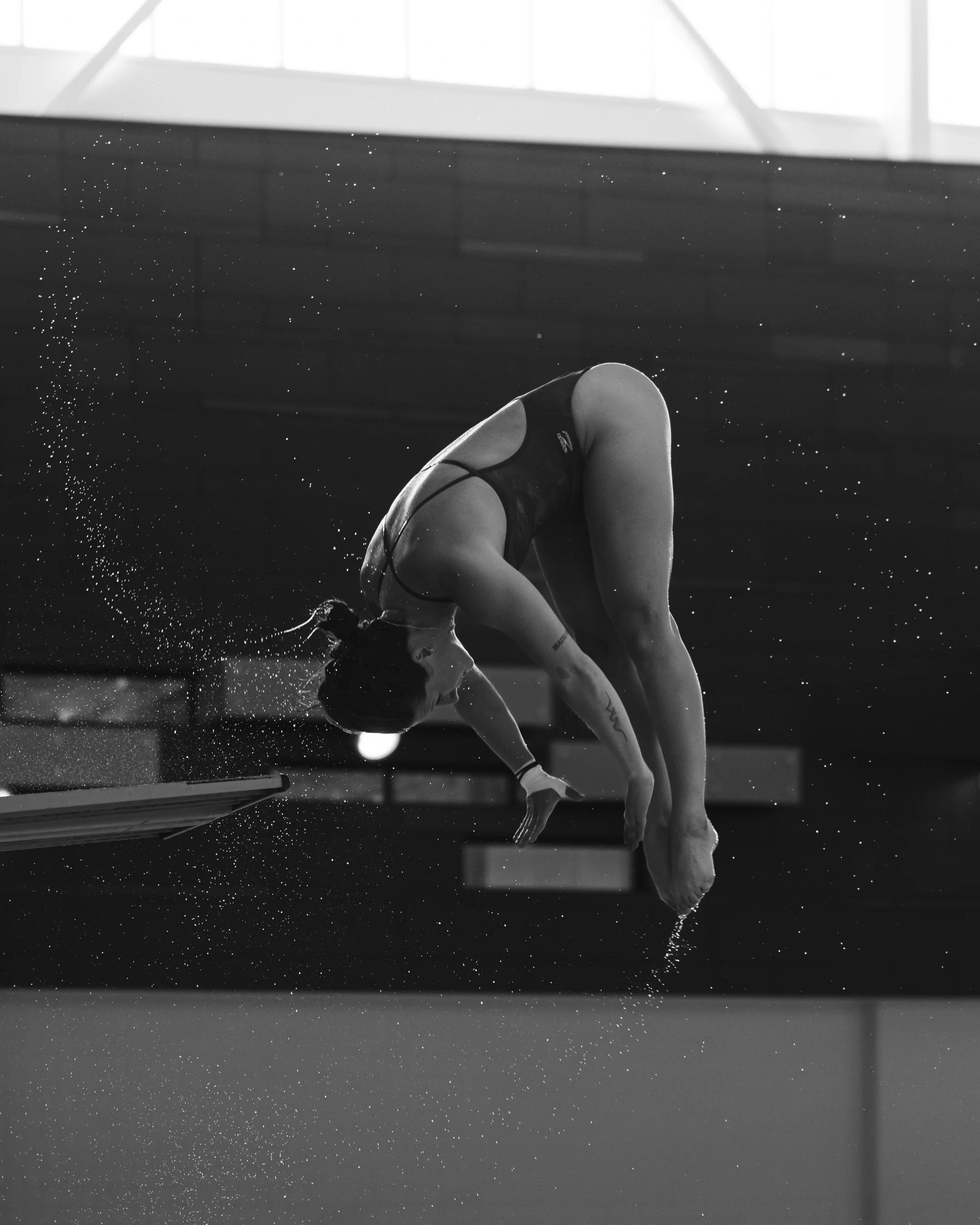 MaximusThiessenDiving-27.jpg