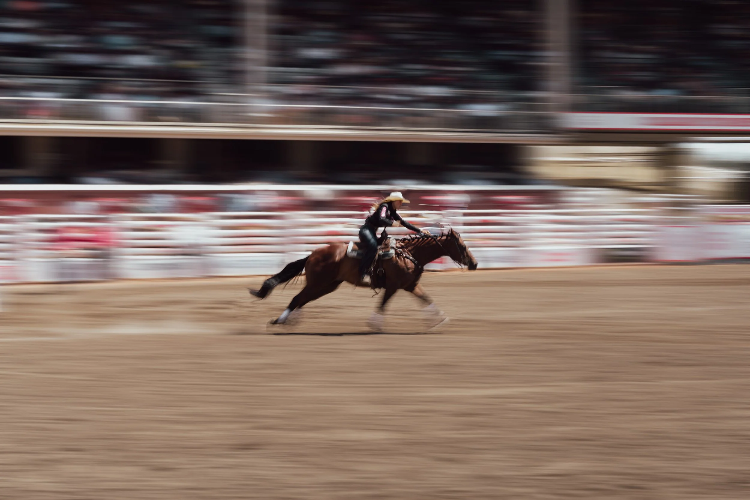 DSC05104-Edit.jpg