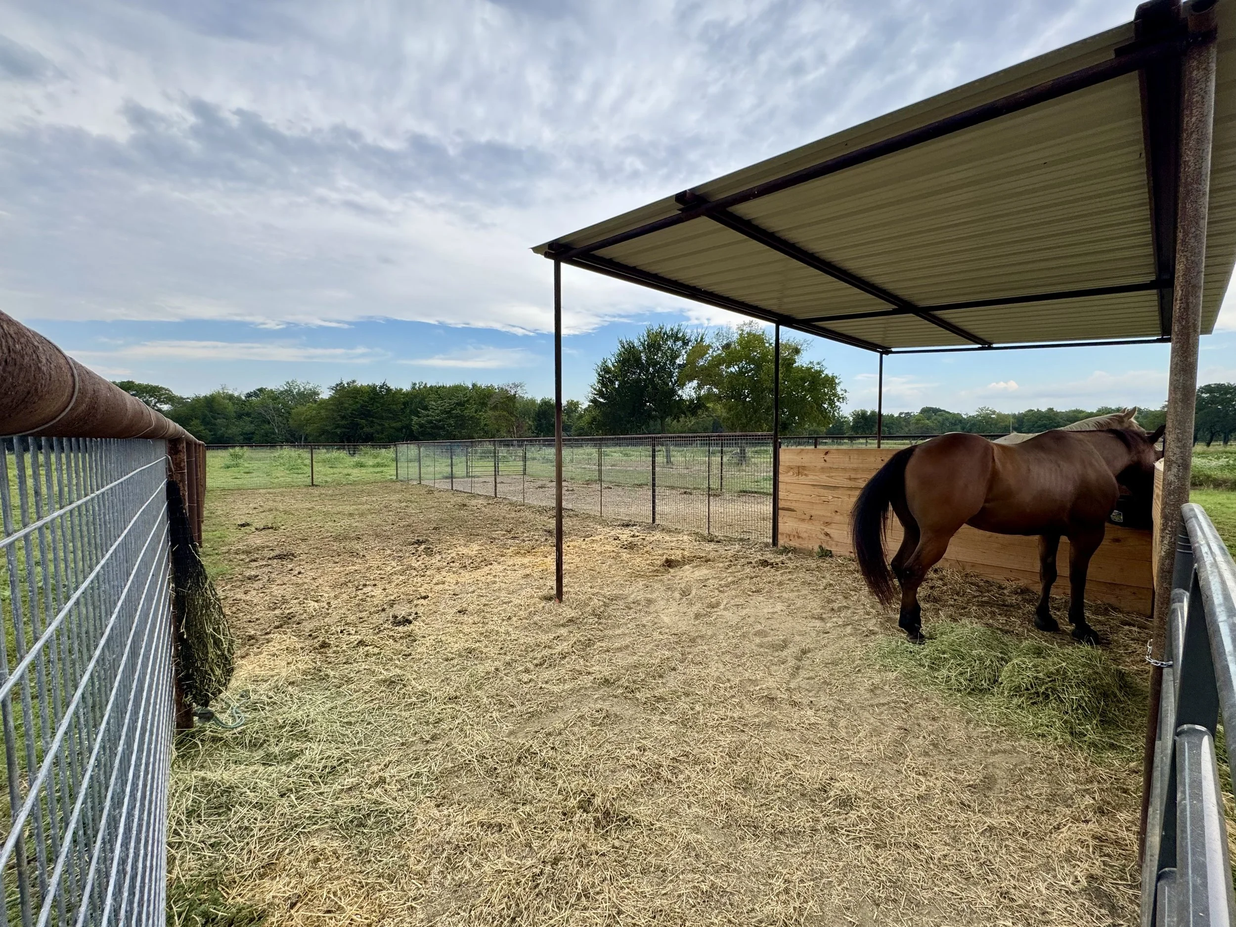 Inside of the Outdoor Pens 70' x 20' 