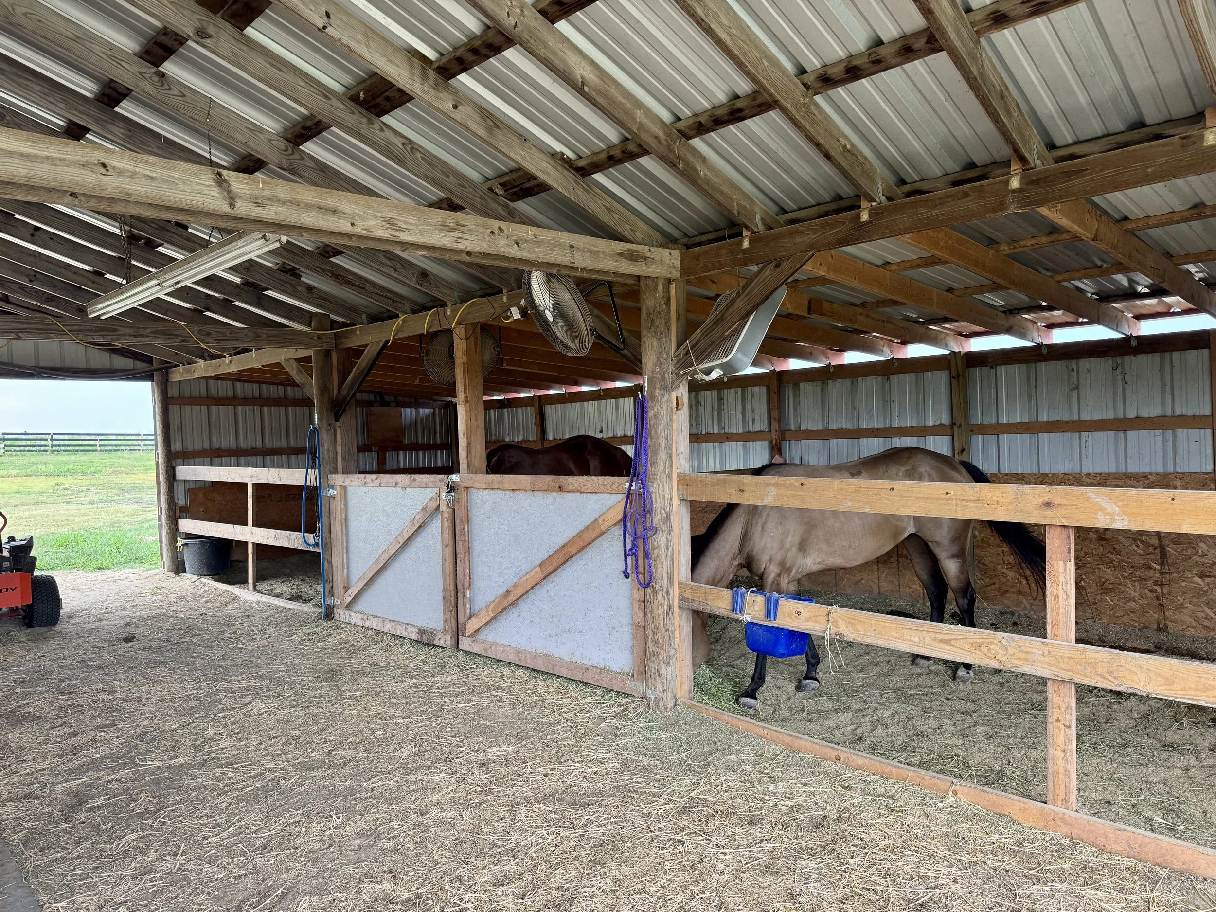 Barn Stalls 16' x 12' 