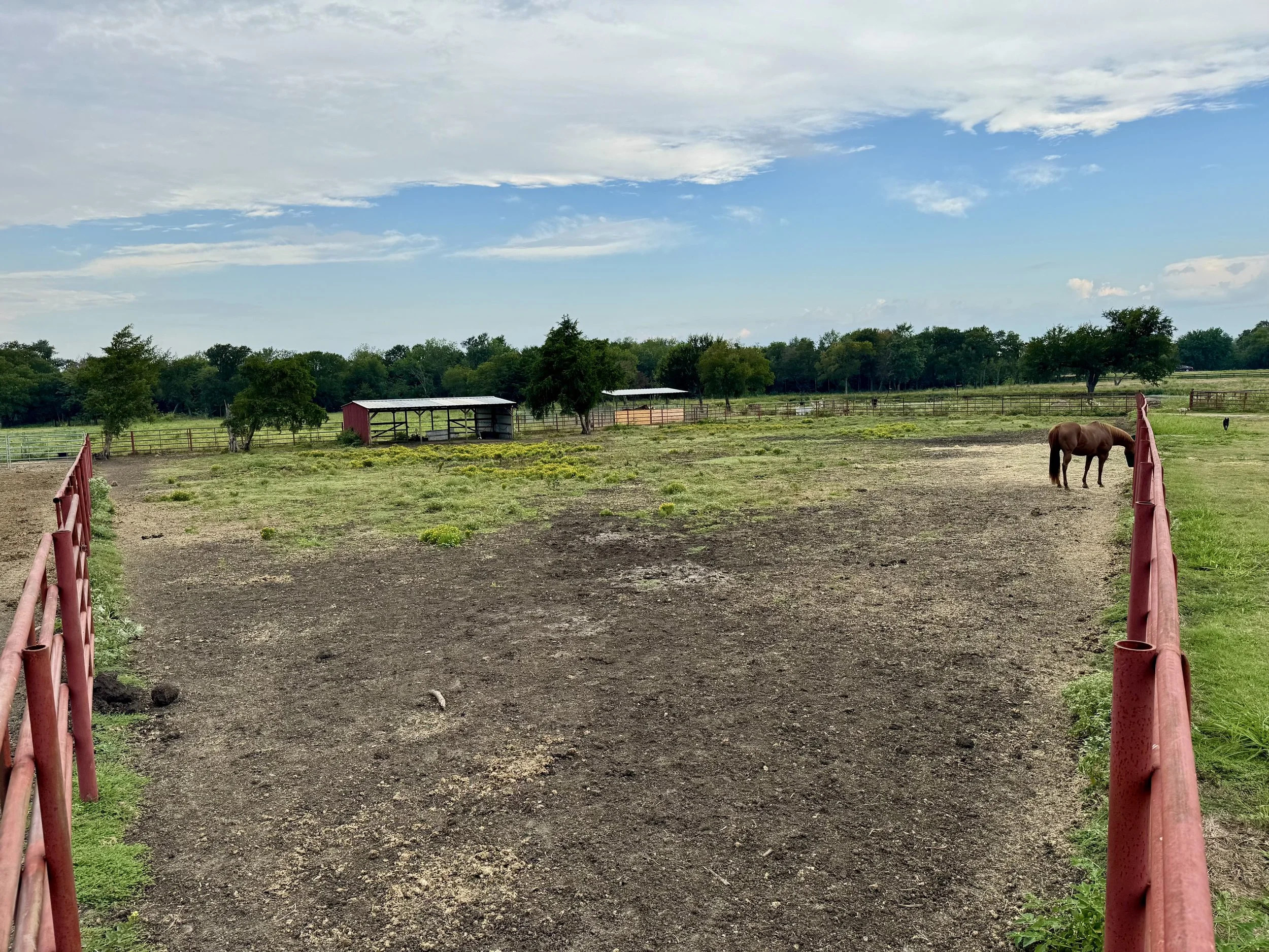 Small Pasture