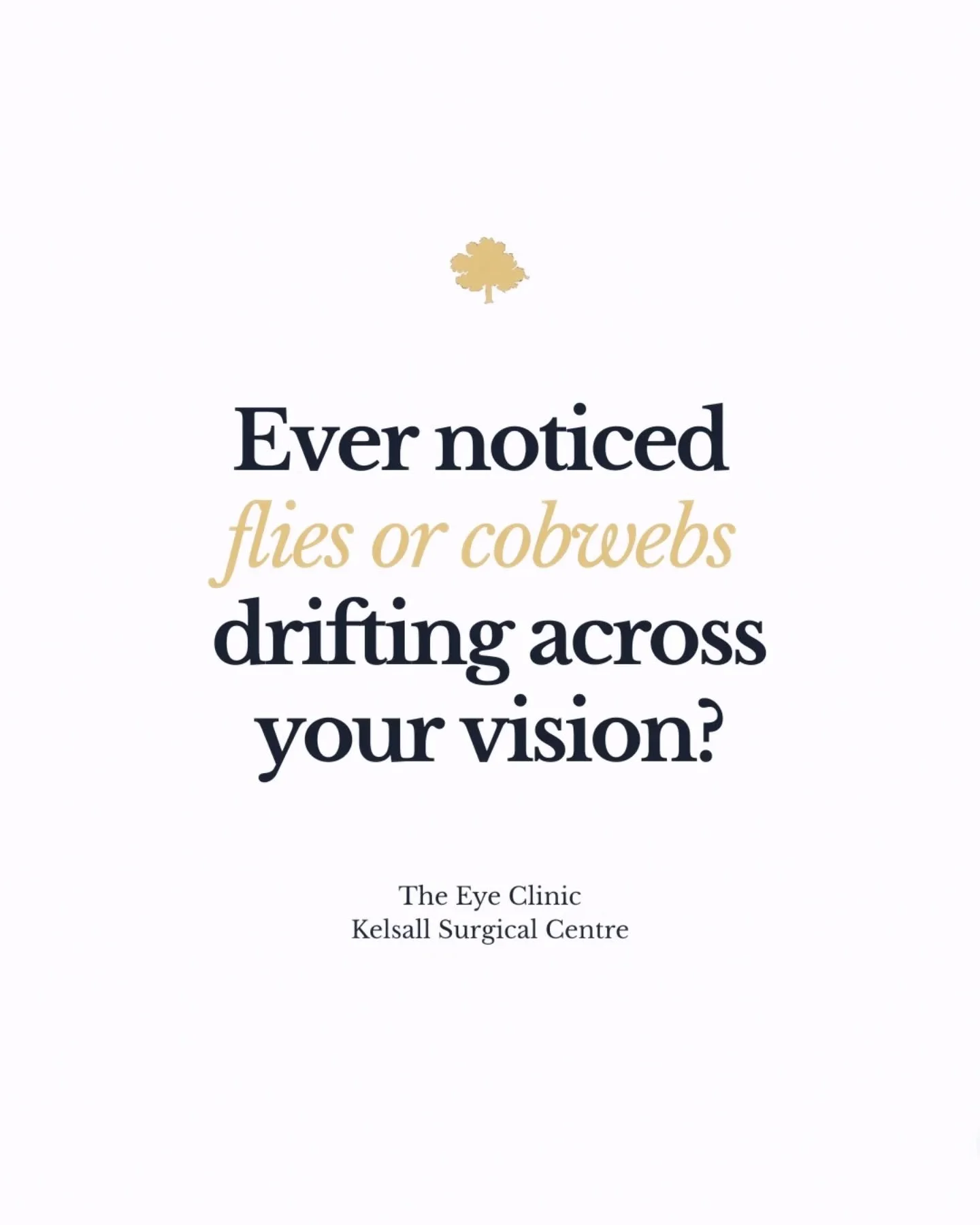 Ever noticed flies πͺ° or cobwebs πΈοΈ drifting across your vision? You're not alone! These little specks are usually eye floaters, tiny shadows cast by structures within your eye onto your retina. For most of us, they're totally normal. ποΈ
However,
