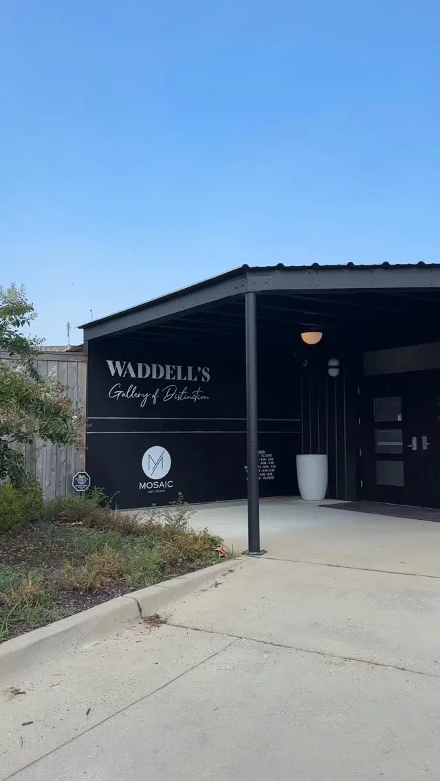 “I can’t believe this is in Shreveport” is our favorite compliment π
.
.
.
#waddellsgallery #artgallery #fineart #fineartgallery #gallery #customframing