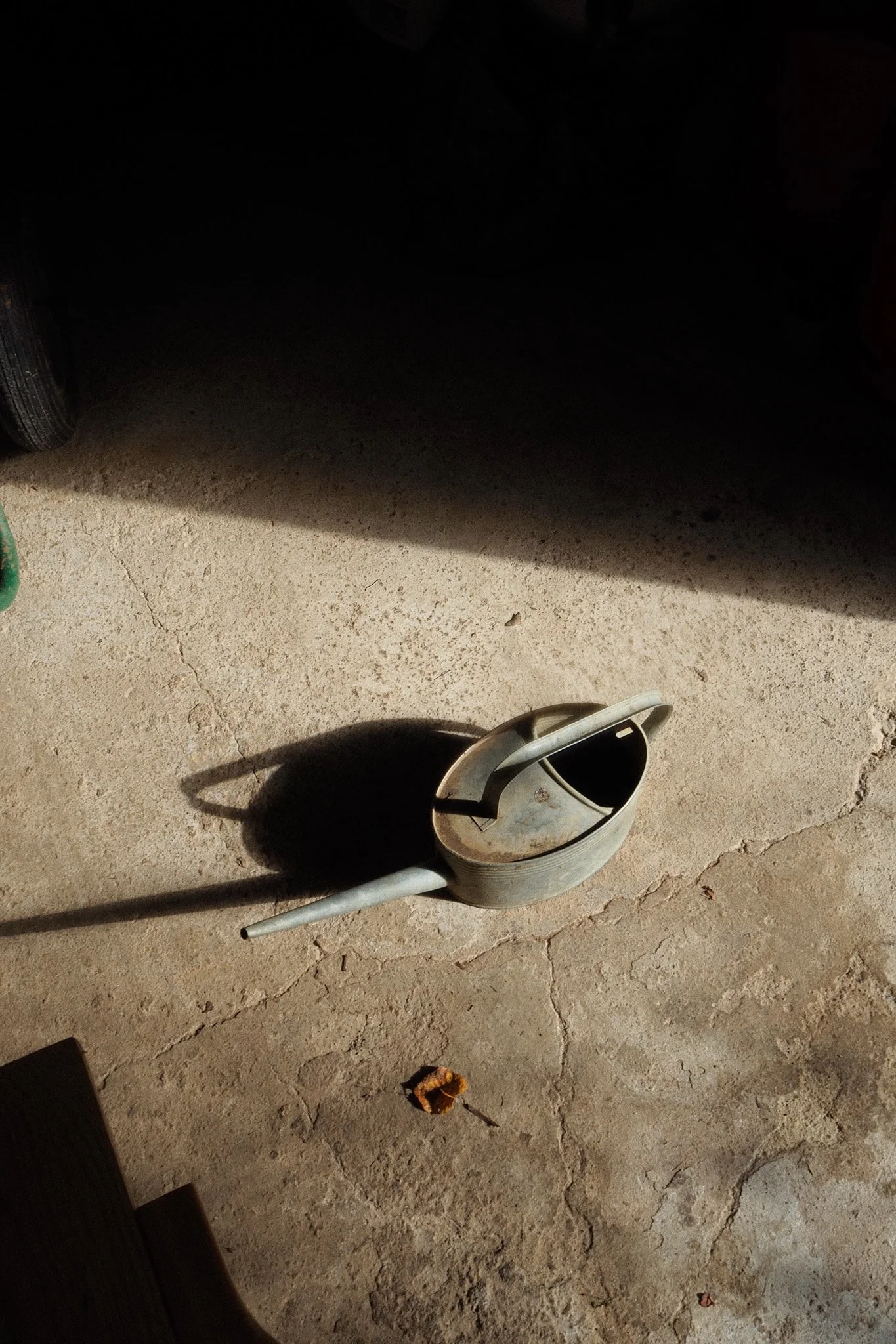 Small Steps Create Big Shifts