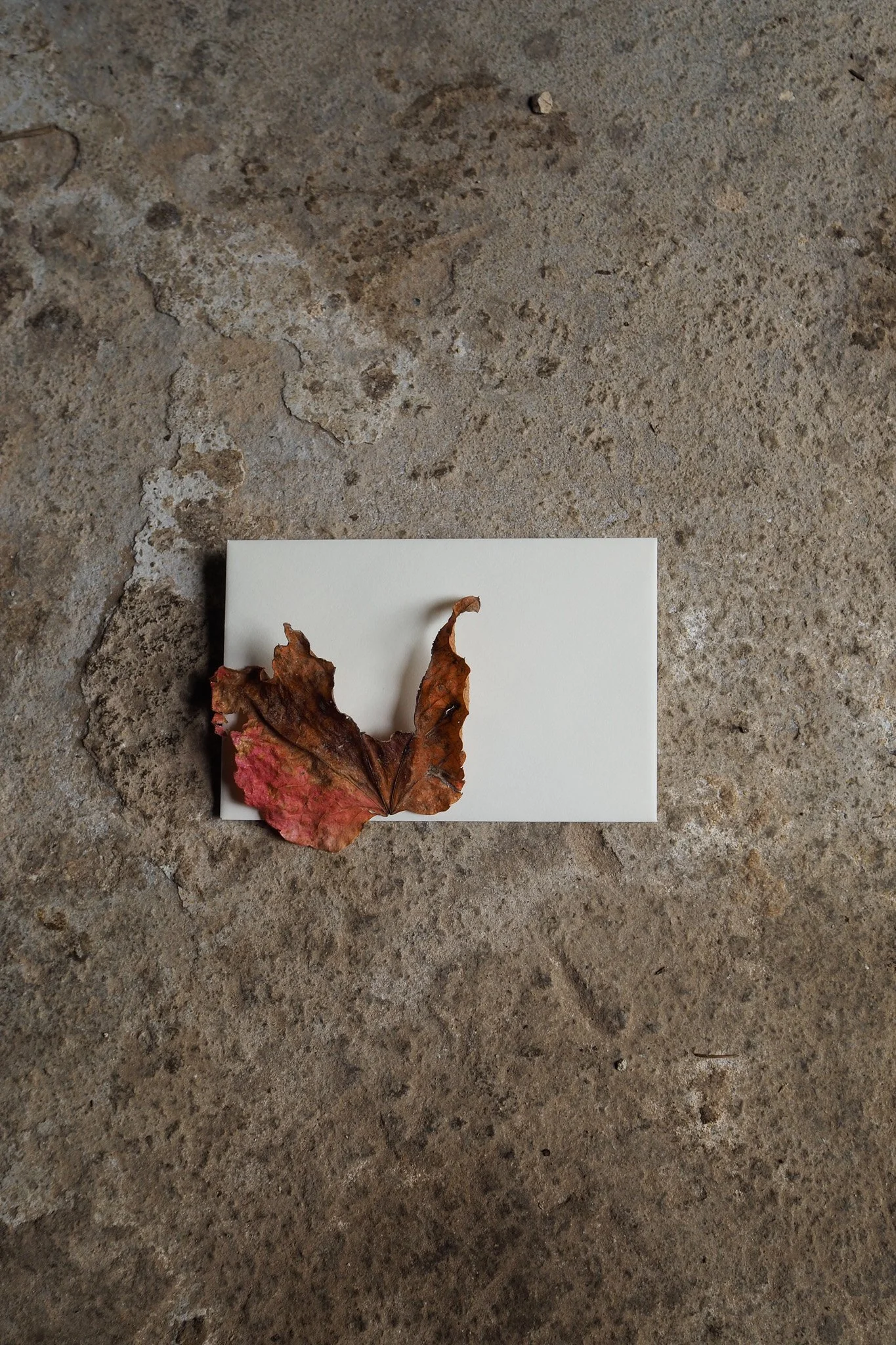 Make Room for Growth