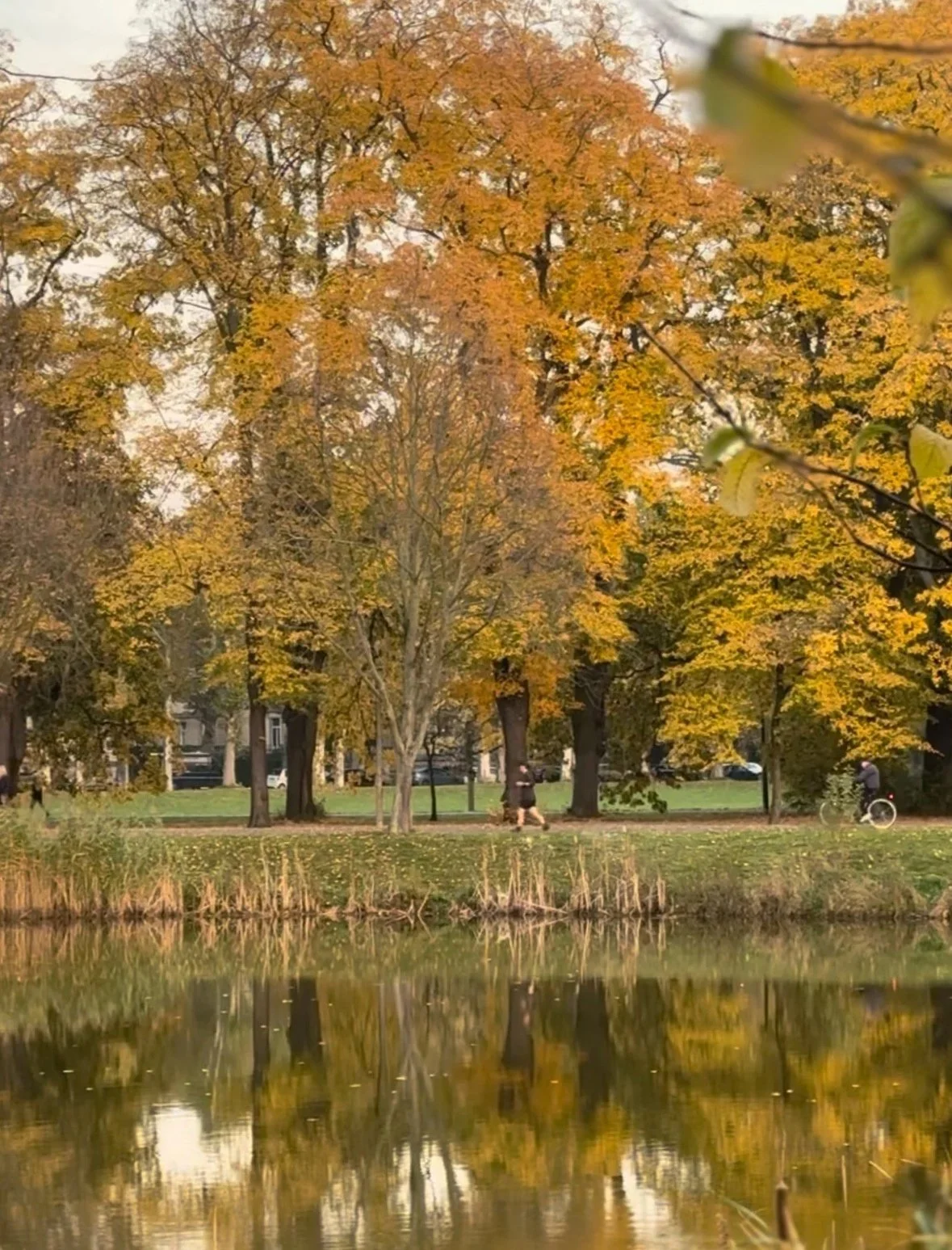 Breath 3 — Arrival