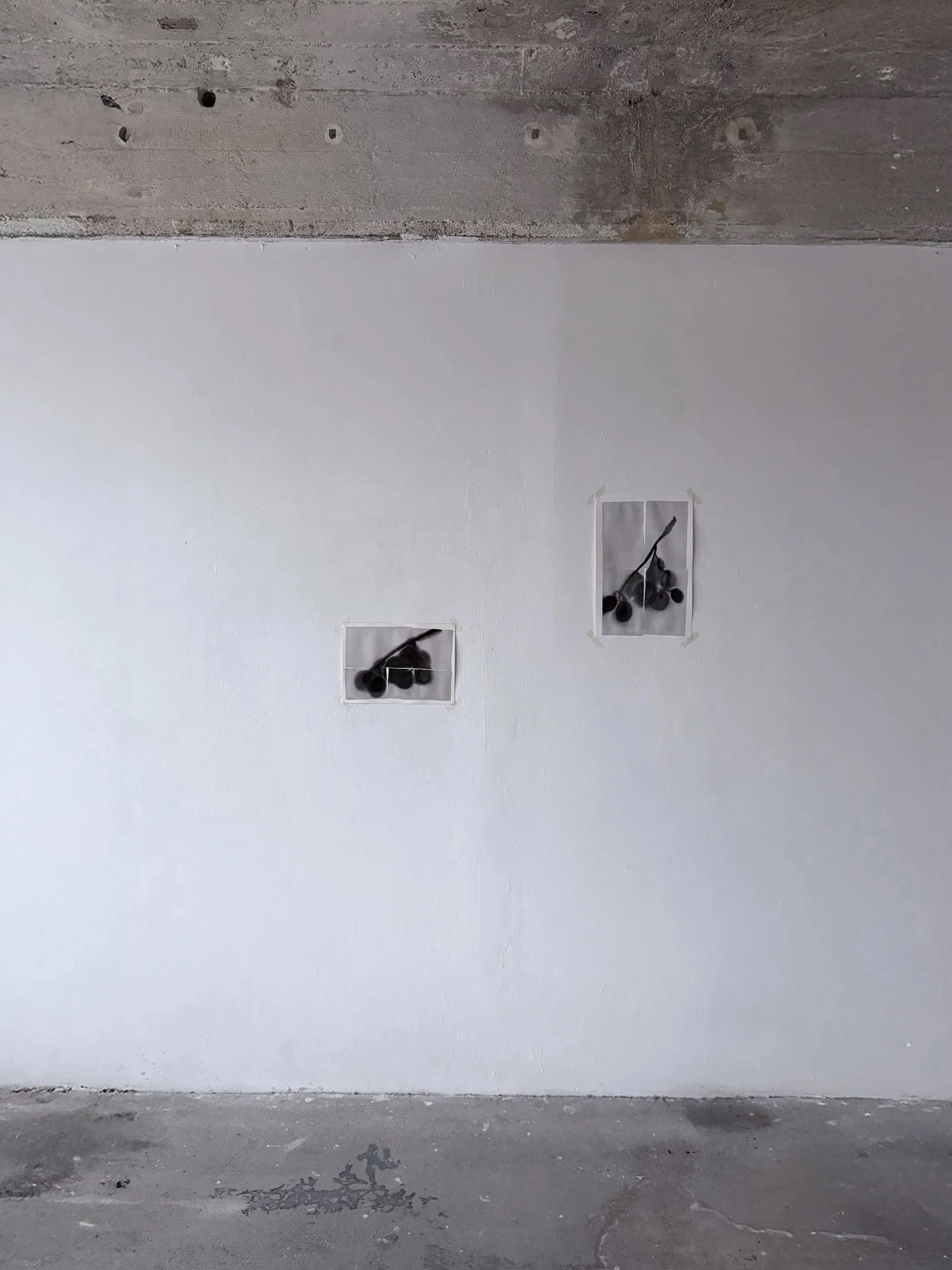 Breath 10 — Still life