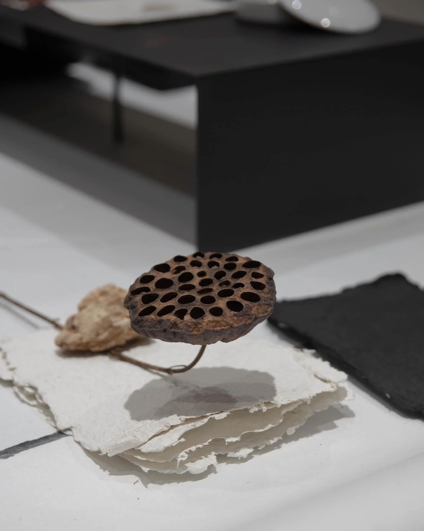 DBBF9305-A76A-439F-90F2-06EC5026259B 2.JPG