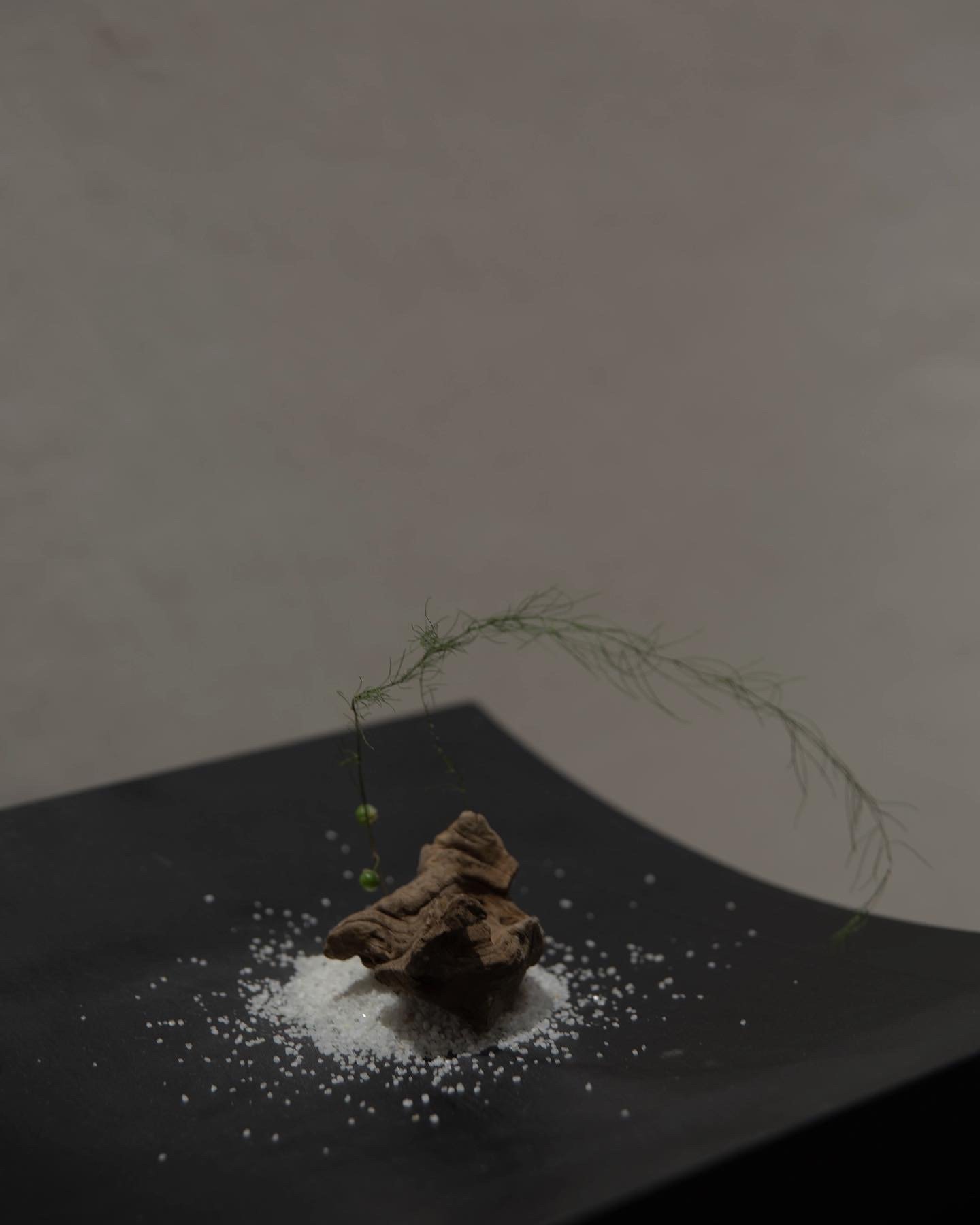 37537F05-B4F3-4A1F-AF54-479F9C90F385 2.JPG