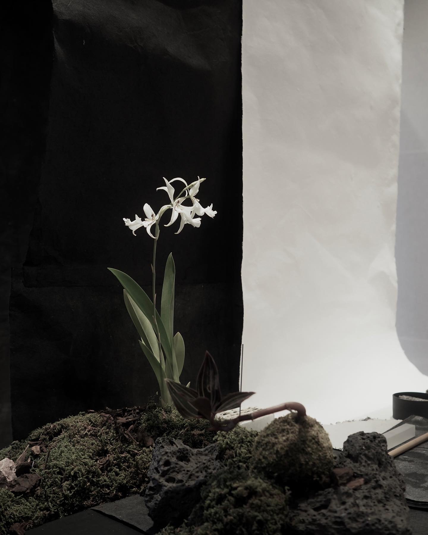 DB80AC95-58F0-4253-8894-77C137D46ACA 2.JPG