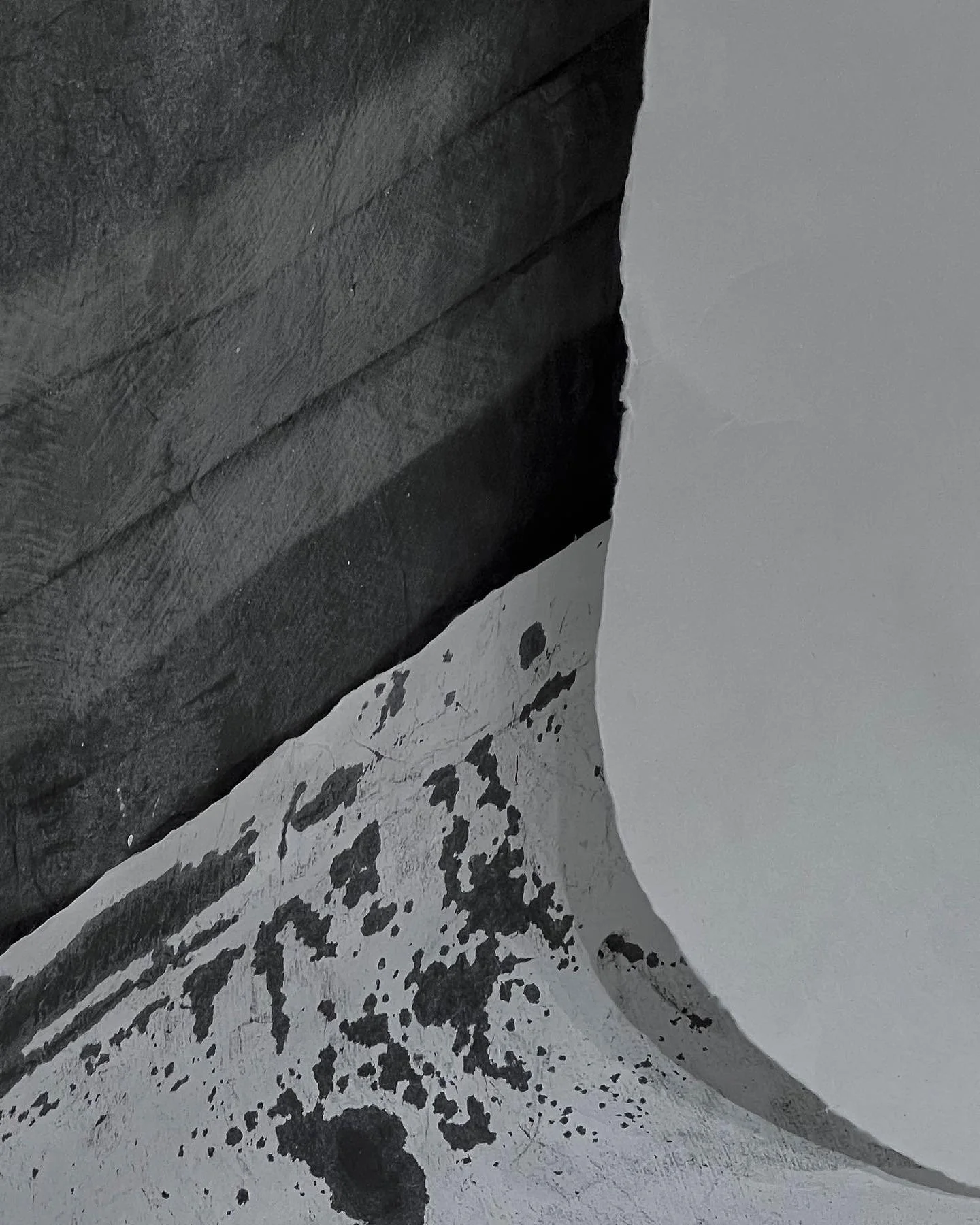 79FE548E-B741-4E3B-847D-563FB47ADAEE 2.JPG