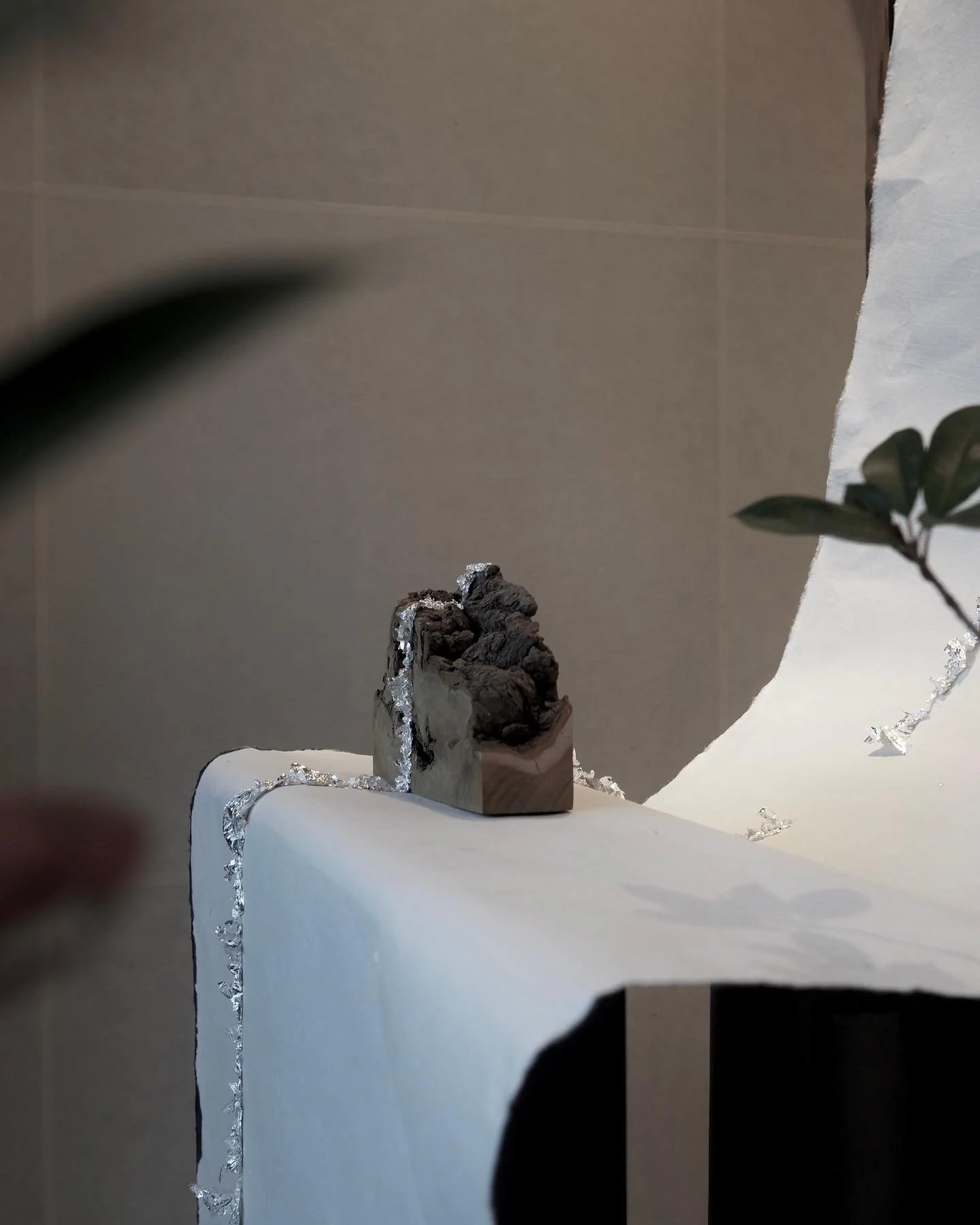 1729E651-3A71-4C66-939A-CAC10D3400CA 2.JPG