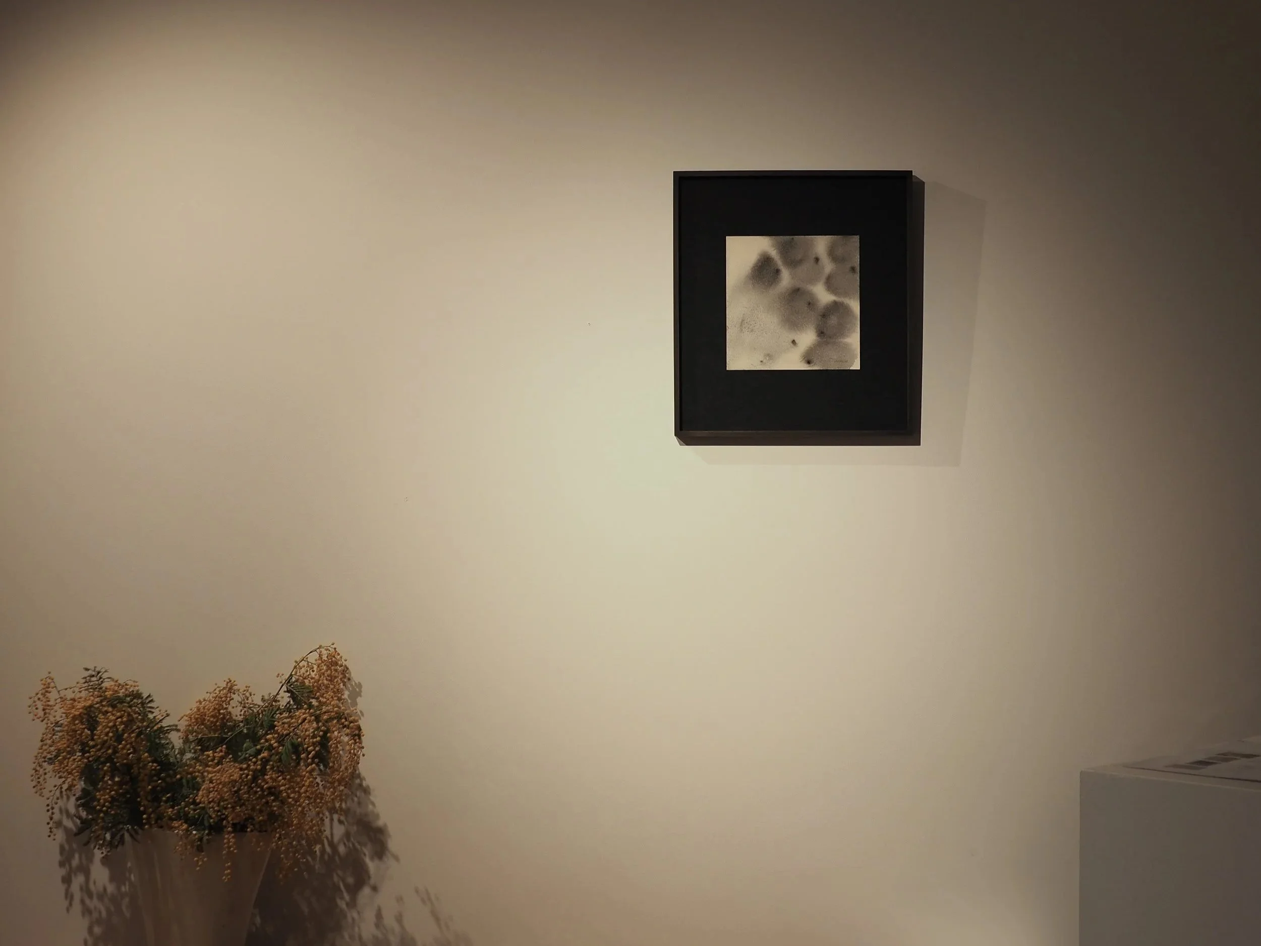 An image of Paths opening from dead ends