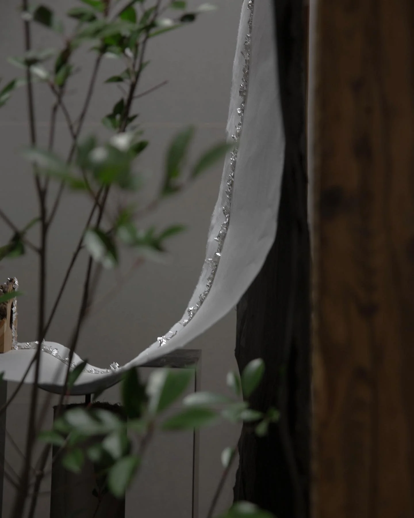 683F0AD7-271F-43DA-A64A-29044E51A690 2.JPG