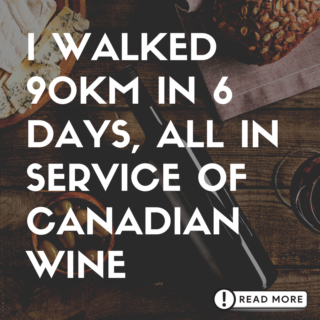 NWAC Recap: 90km, 1700 Wines, and a Whole Lot of Spit Buckets