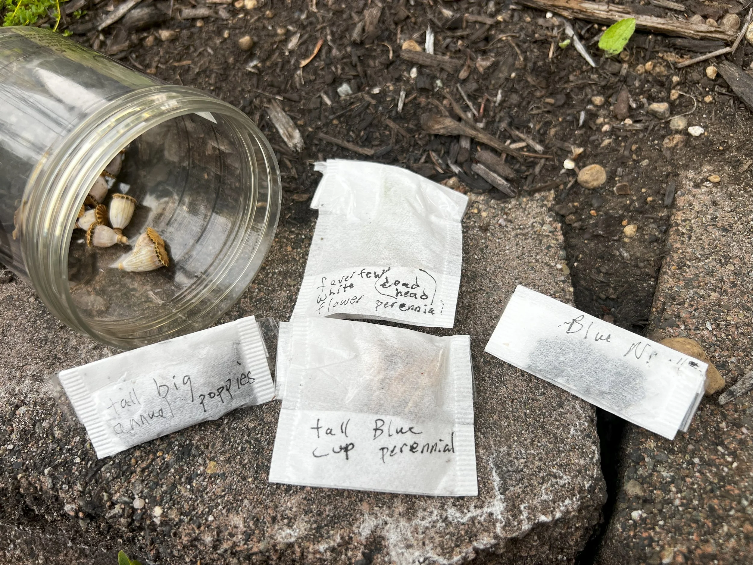 The Beauty of Ruth and the Medicine of Community
