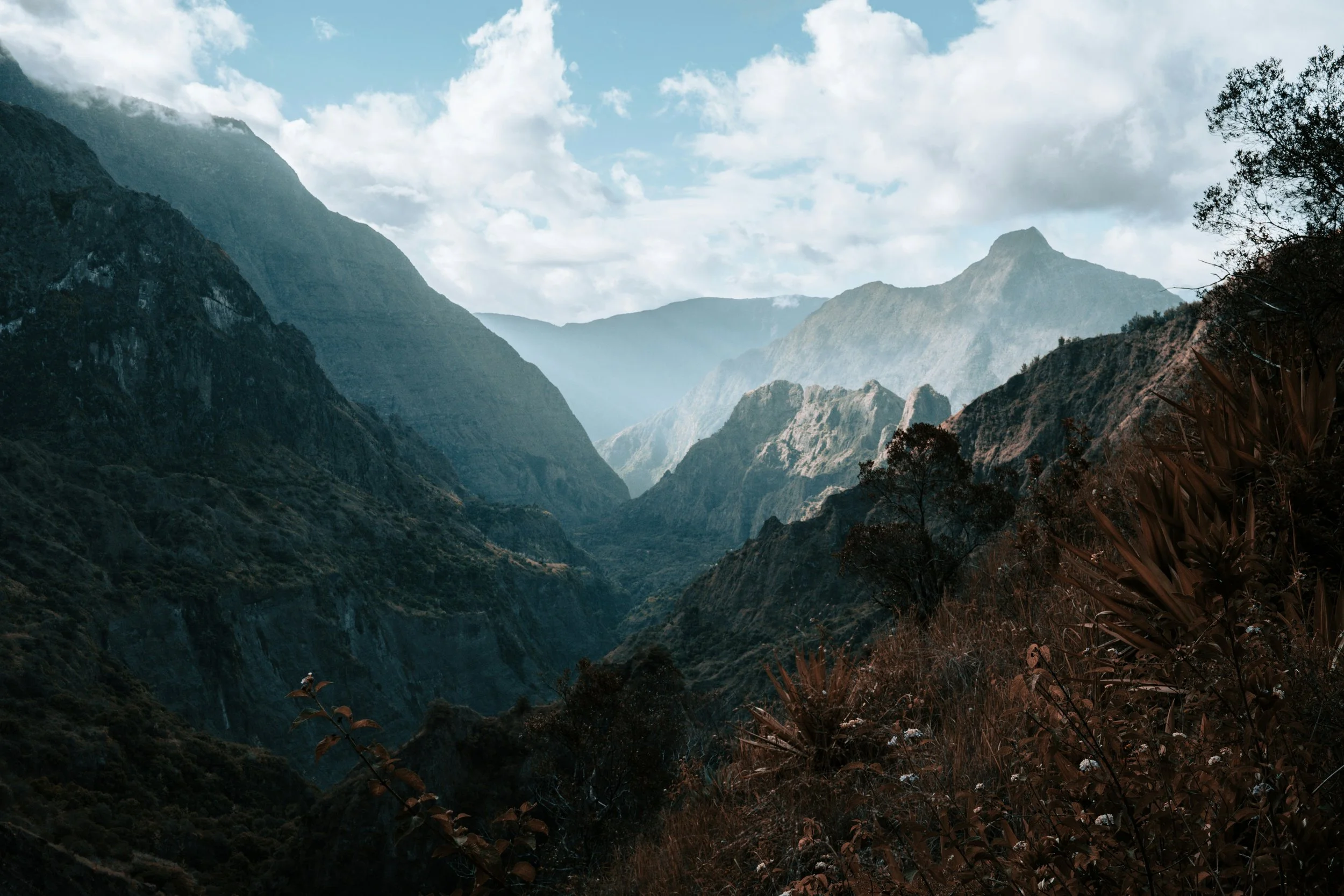Île de la Réunion, Cirque de Mafate, arbres au premier plan et ciel nuageux.