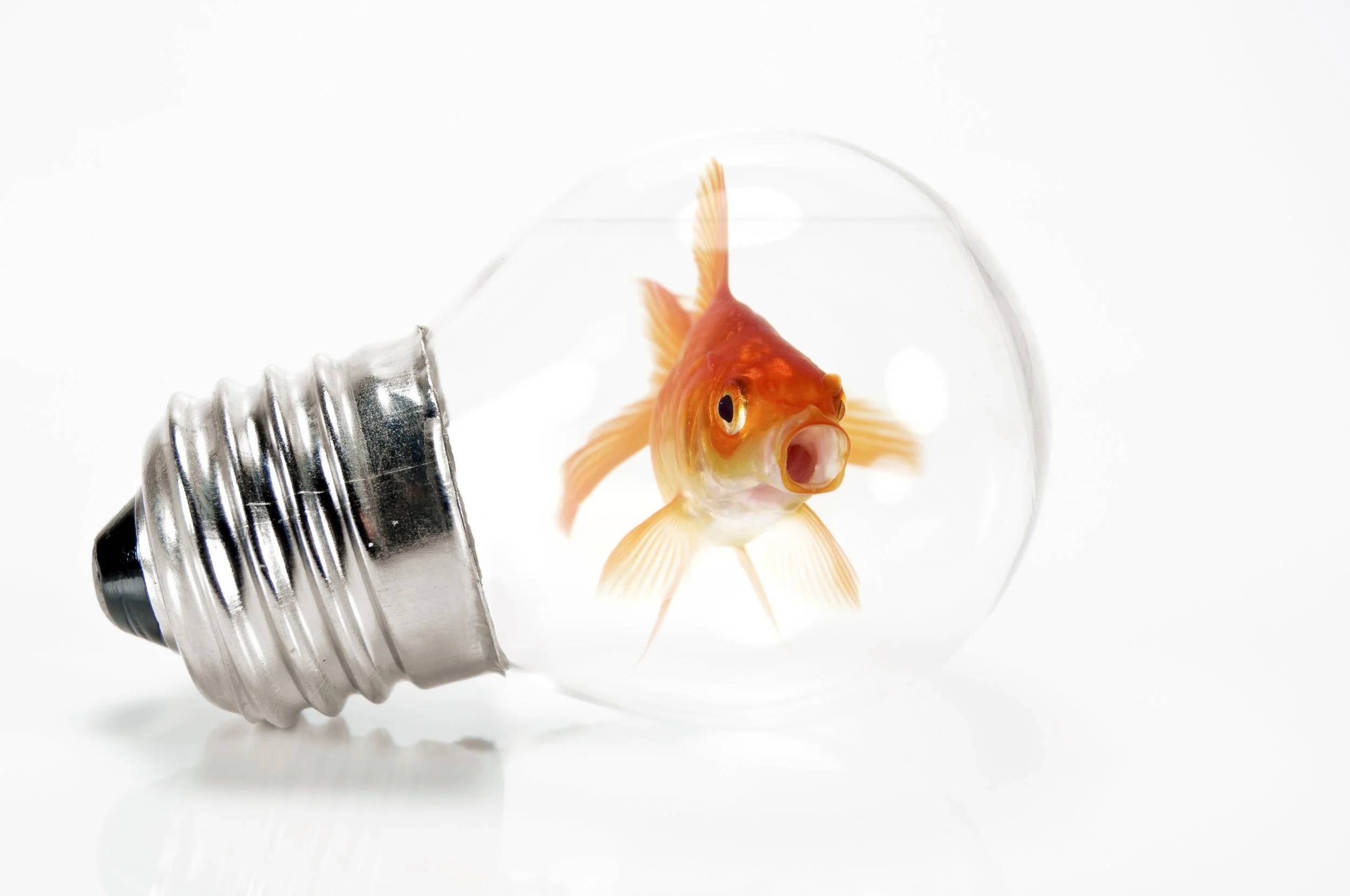 From Promise to Practice: Delivering on Your School’s Value