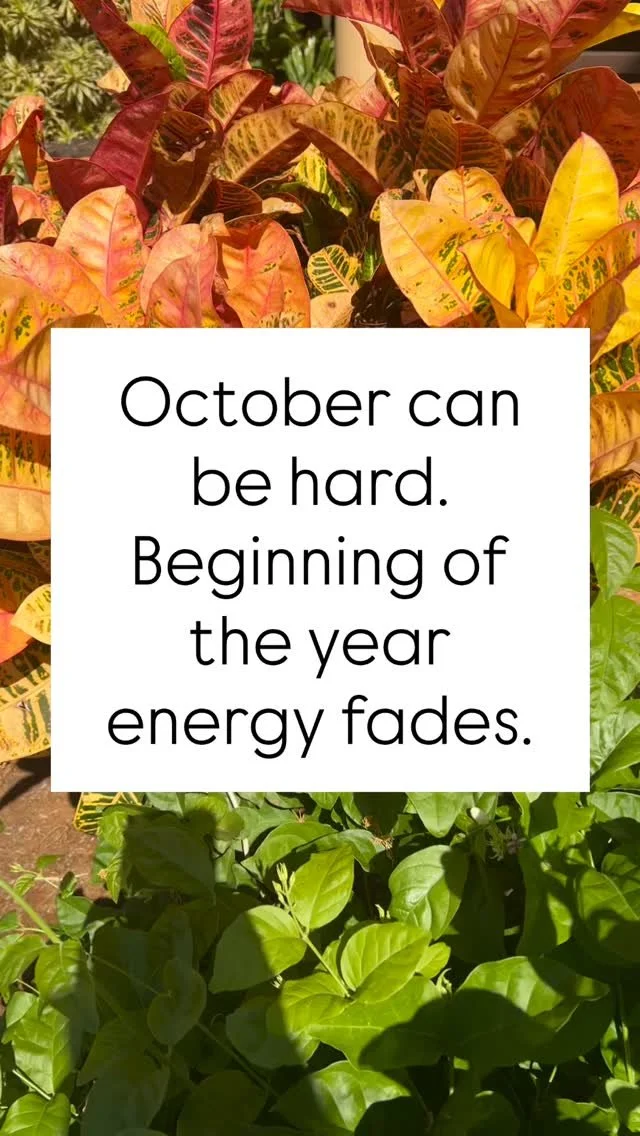 October can be tough. It can also invite us to slow down and reflect. It’s a season of transition in nature and in the classroom.
What’s one thing you’ve done recently that you’re proud of?
Or, where have you noticed growth