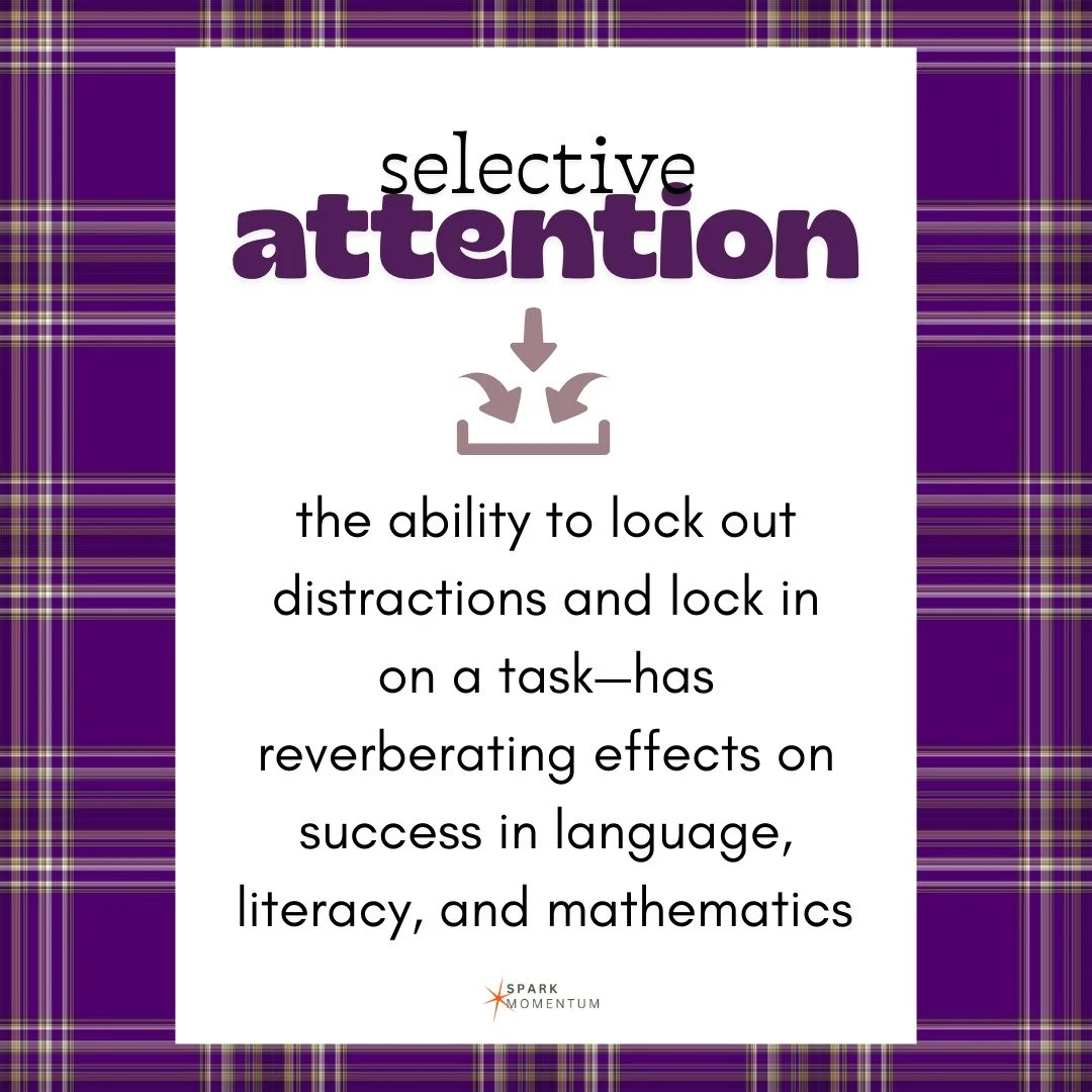 The ability to sustain focus often determines success.

The good news is that selective attention is trainable, with &quot;reverberating effects&quot; on achievement across content areas (Stevens &amp; Bavelier).

As Zaretta Hammond says, &quot;The h