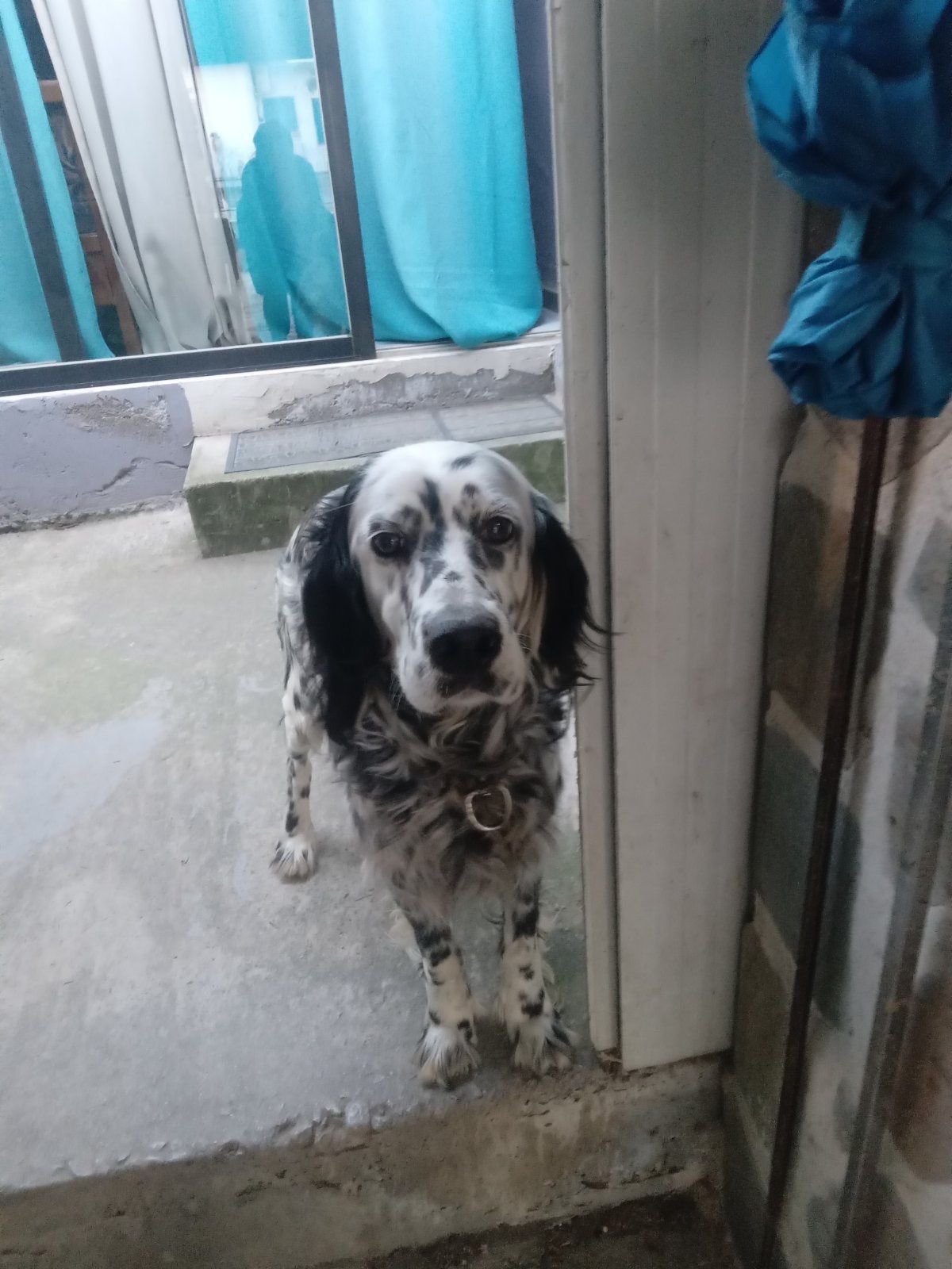 WhatsApp Image 2026-02-19 at 14.51.03.jpeg