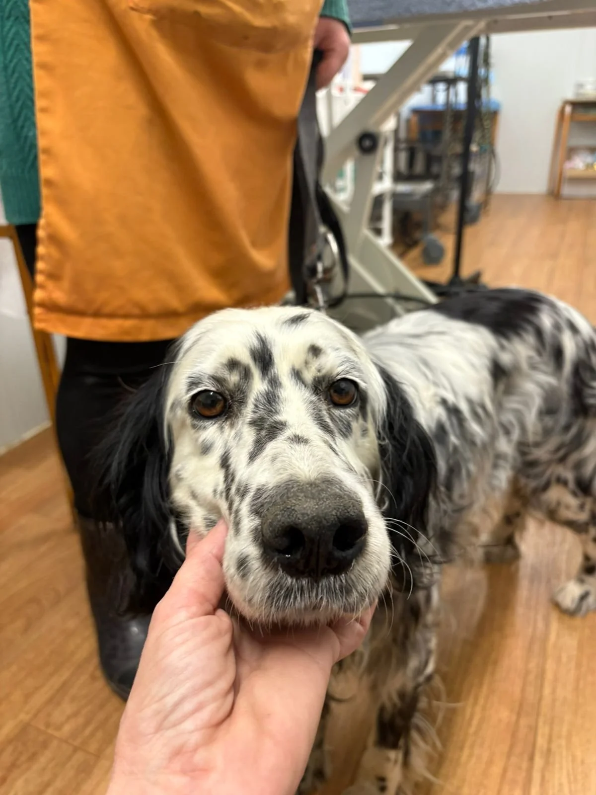 WhatsApp Image 2026-03-04 at 17.16.26.jpeg