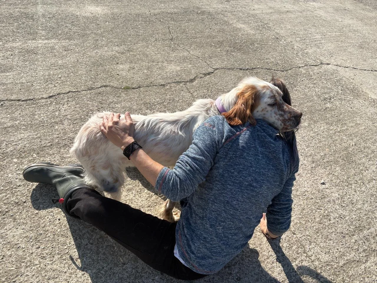 WhatsApp Image 2026-03-15 1.jpeg