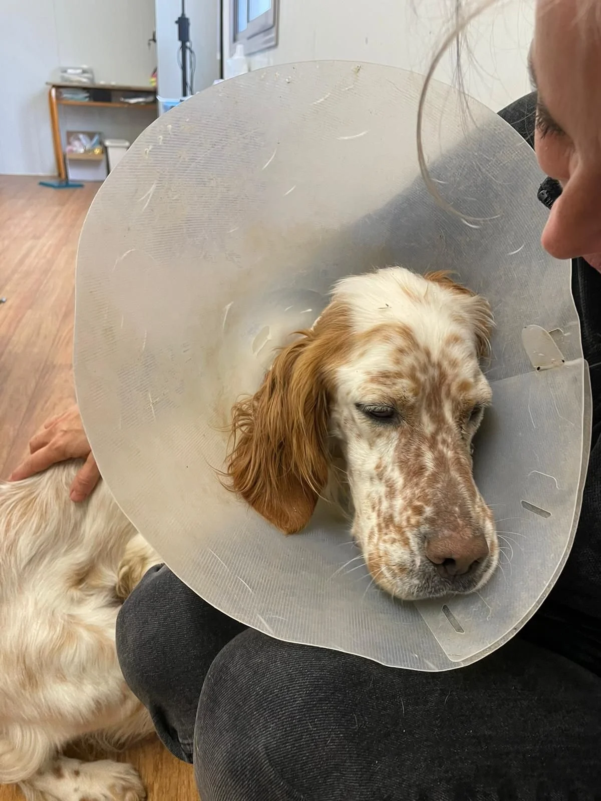 WhatsApp Image 2026-02-28 at 11.43.29.jpeg