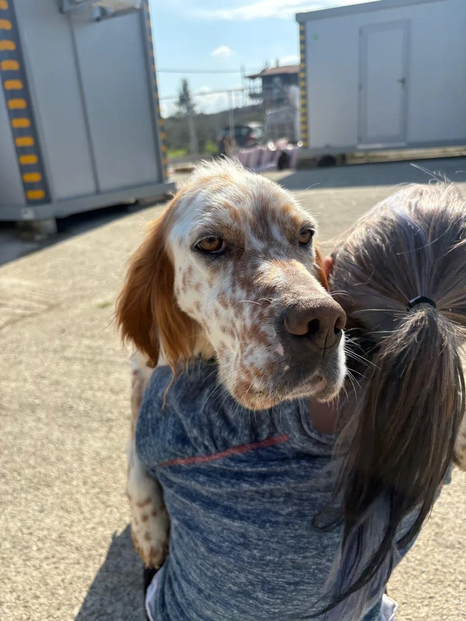 WhatsApp Image 2026-03-15 at 08.14.13.jpeg