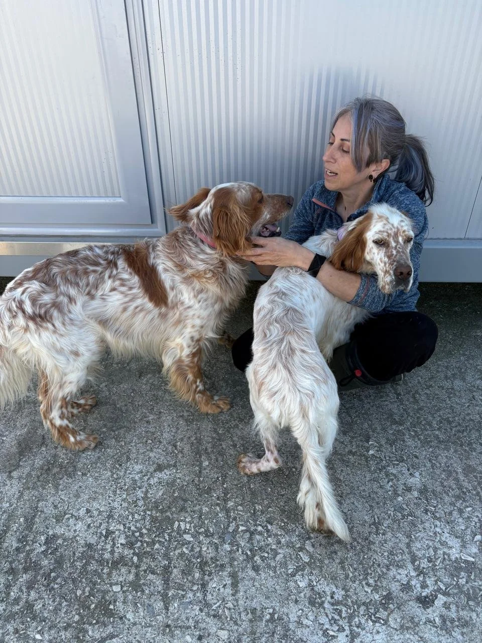 WhatsApp Image 2026-03-15 at 08.14.16.jpeg