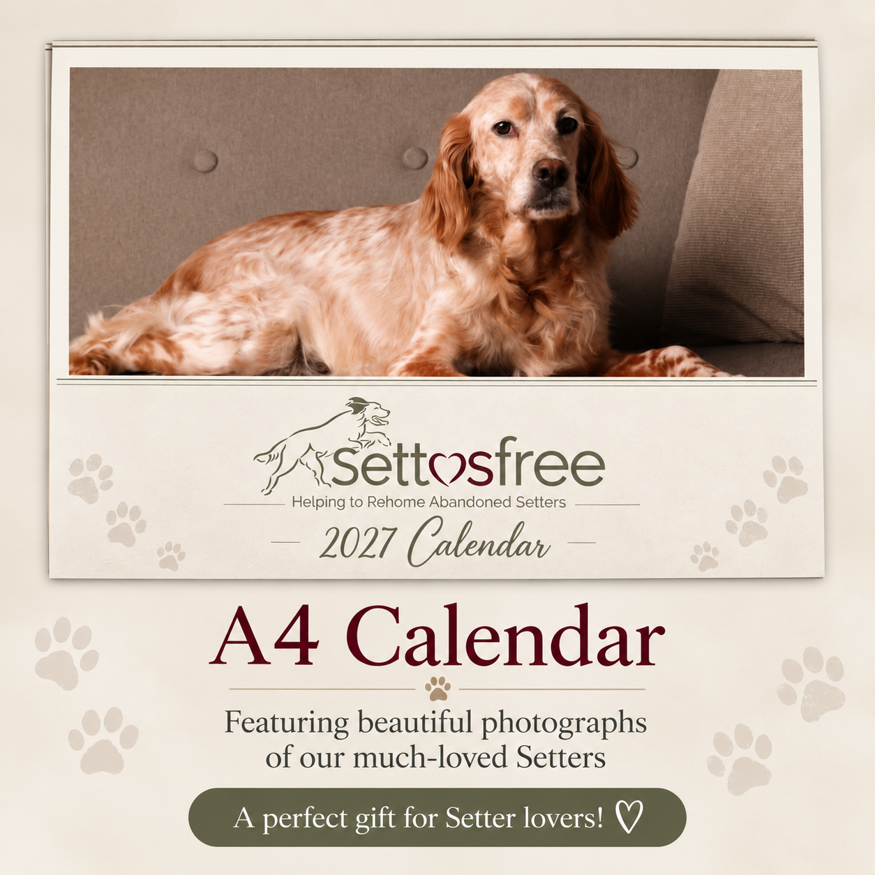 A4 Setter Calendar Charity Promo.png