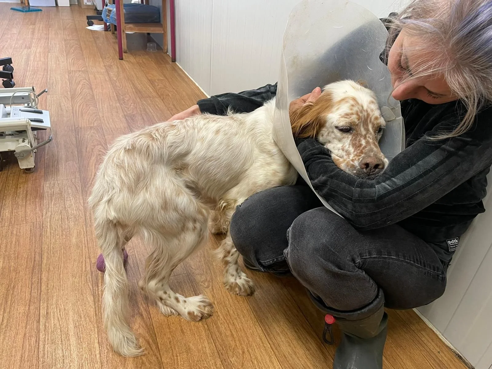 WhatsApp Image 2026-02-28 at 11.43.28.jpeg