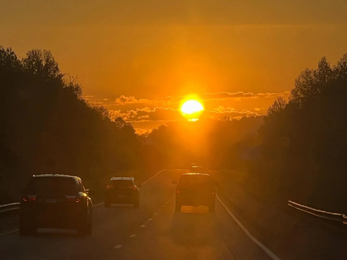 The sun rises and the fog lifts! It&rsquo;s definitely fall, All! &lt;3