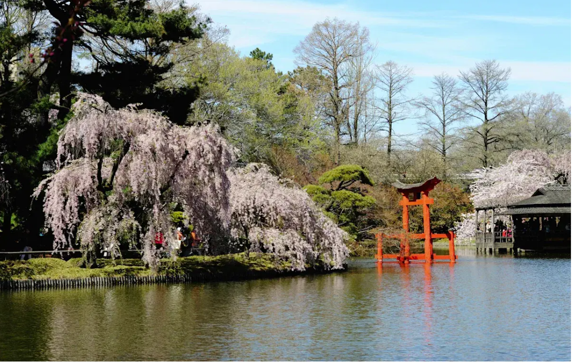 Botanical garden.png