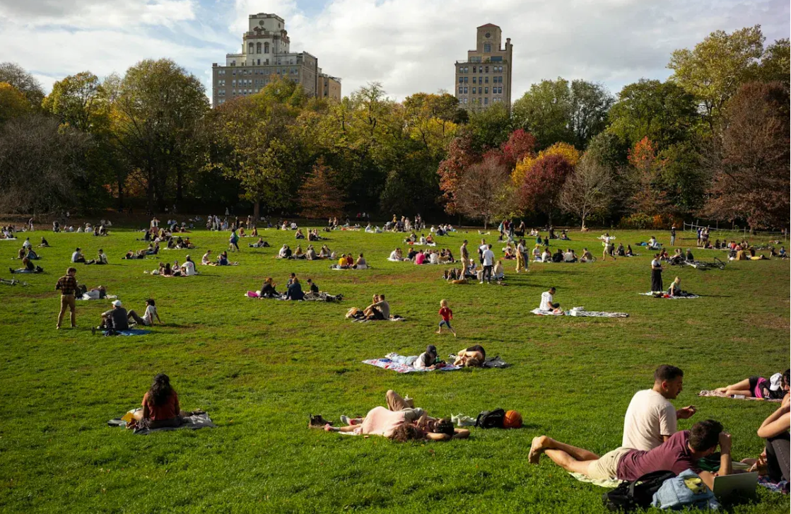 Prospect Park.png
